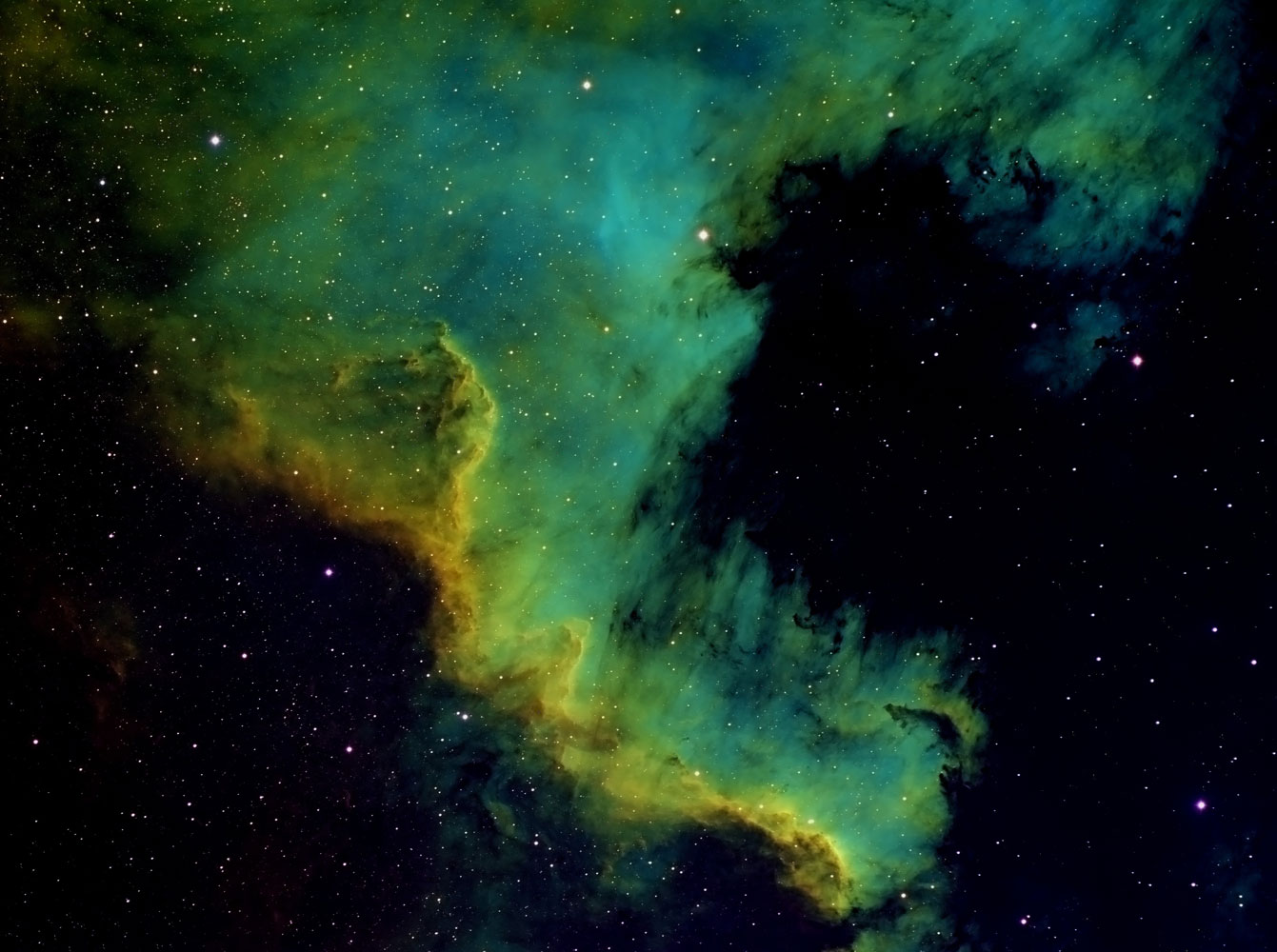 NGC 7000, also known as the North America Nebula - The Gulf of Mexico region, in the Cygnus Constellation, captured on May 21, 2014.