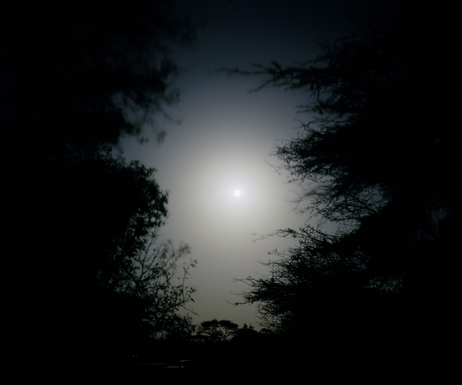 DC 002.49 001 hunters moon, northern kenya-from the series 'with