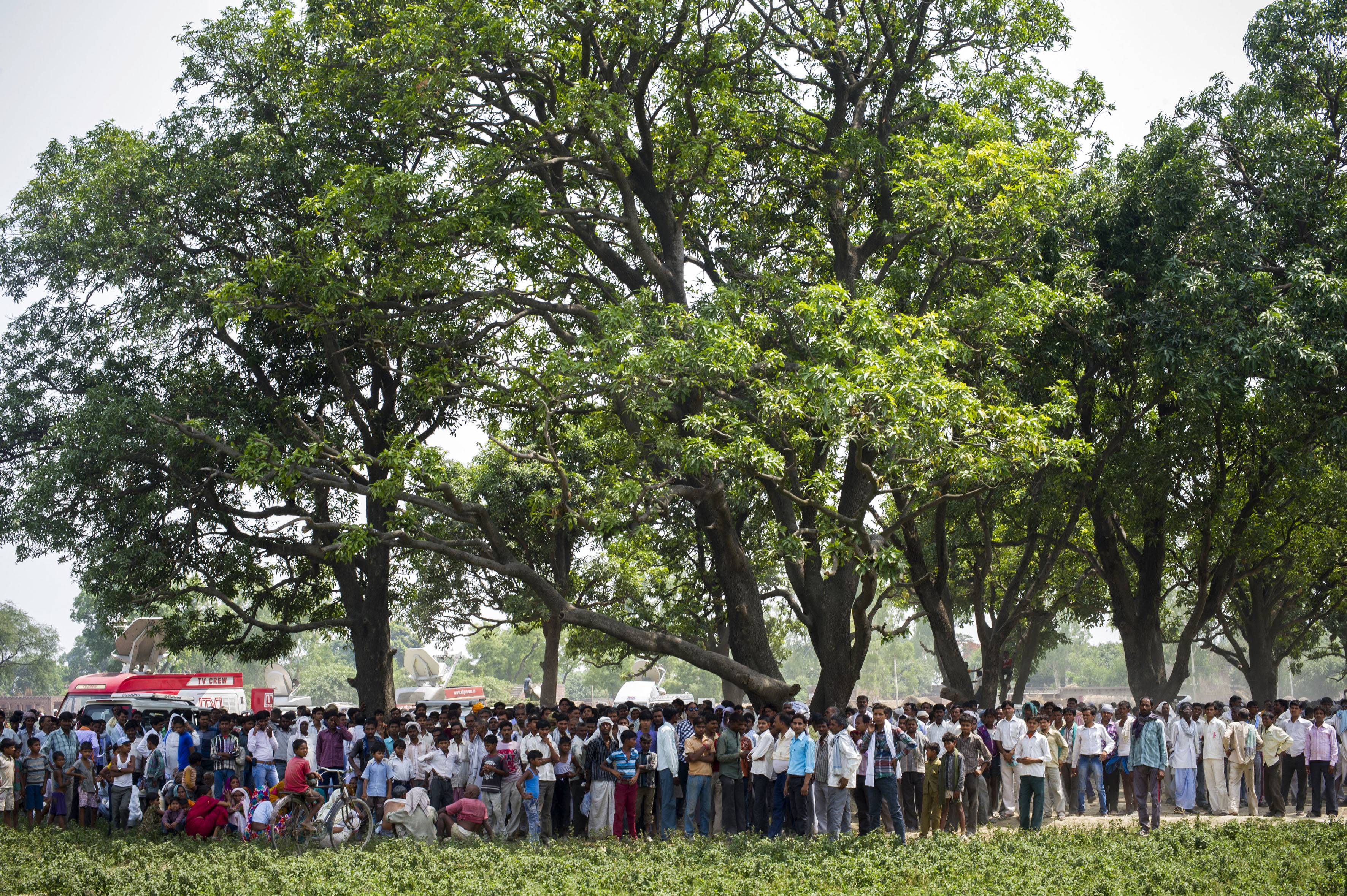 The grove of mango trees  where the two girls were hanged by mainly male villagers and media in Katra Sadatganj village, Uttar Pradesh, India on May 30, 2014.