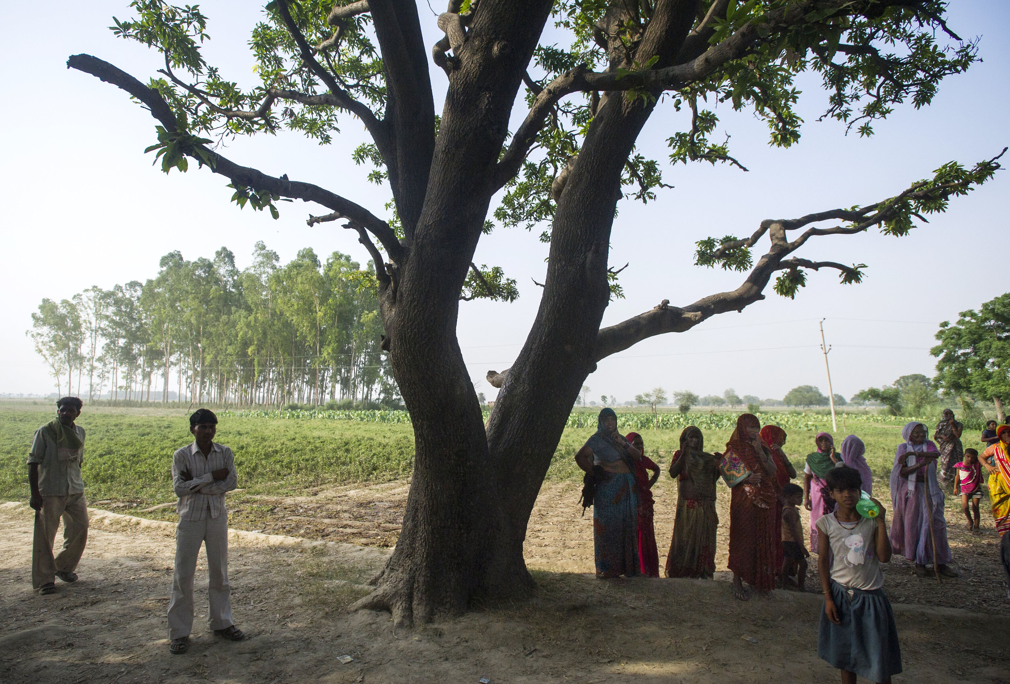 Villagers stand by the mango tree from which the two girls were hanged in Katra Sadatganj village, Uttar Pradesh, India on May 30, 2014.