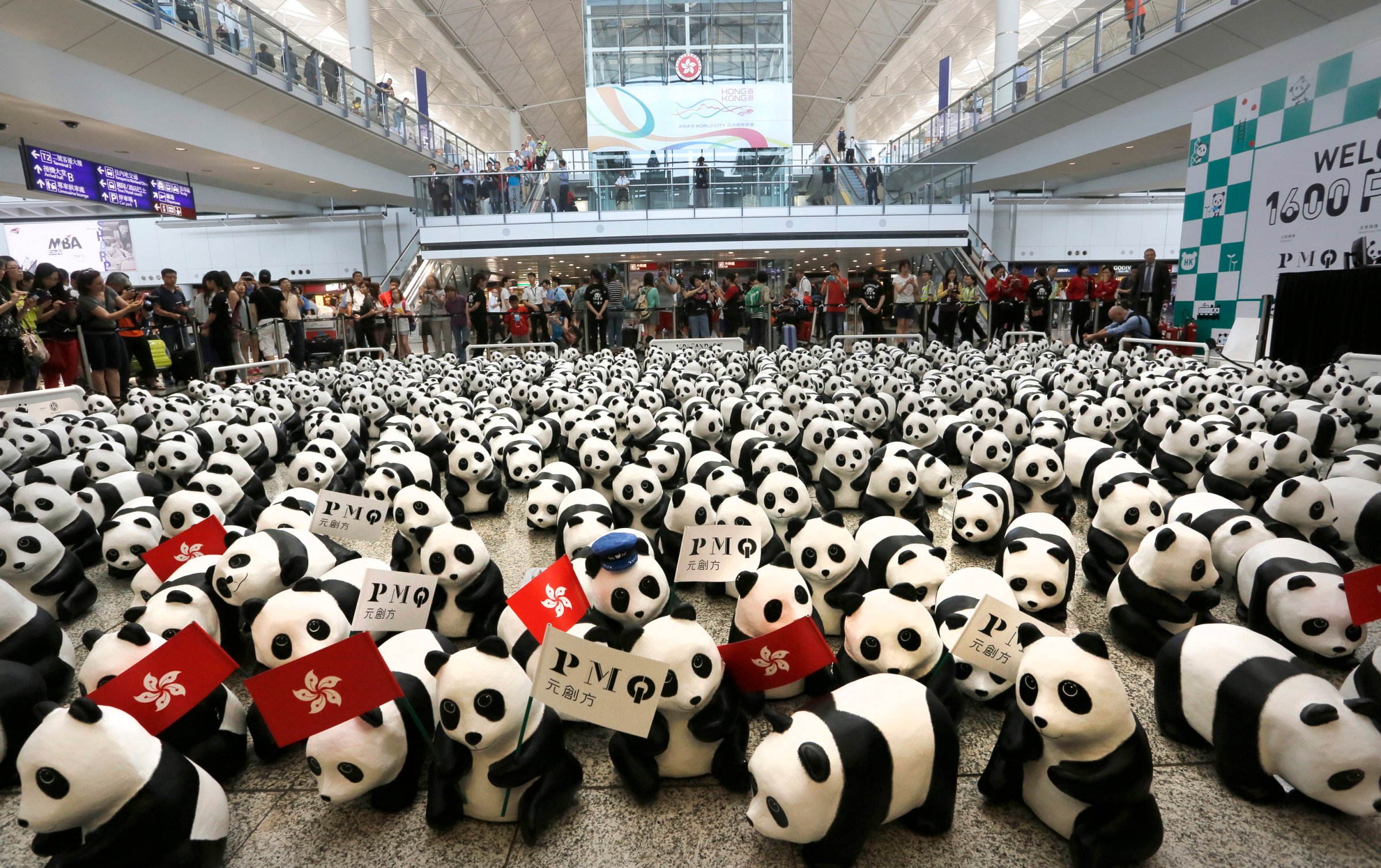 Hong Kong Pandas Tour Hong Kong Airport