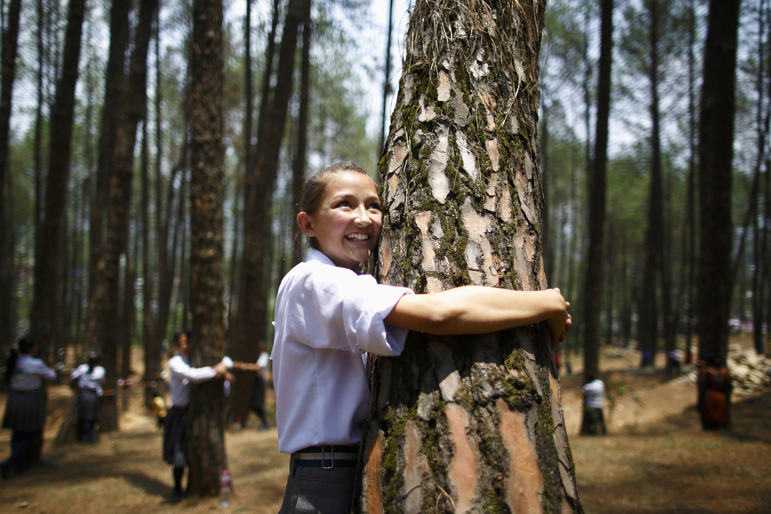 Girl hugs a tree as she takes part in an attempt to break the Guinness World Record for the most number of people hugging trees for two minutes in Kathmandu