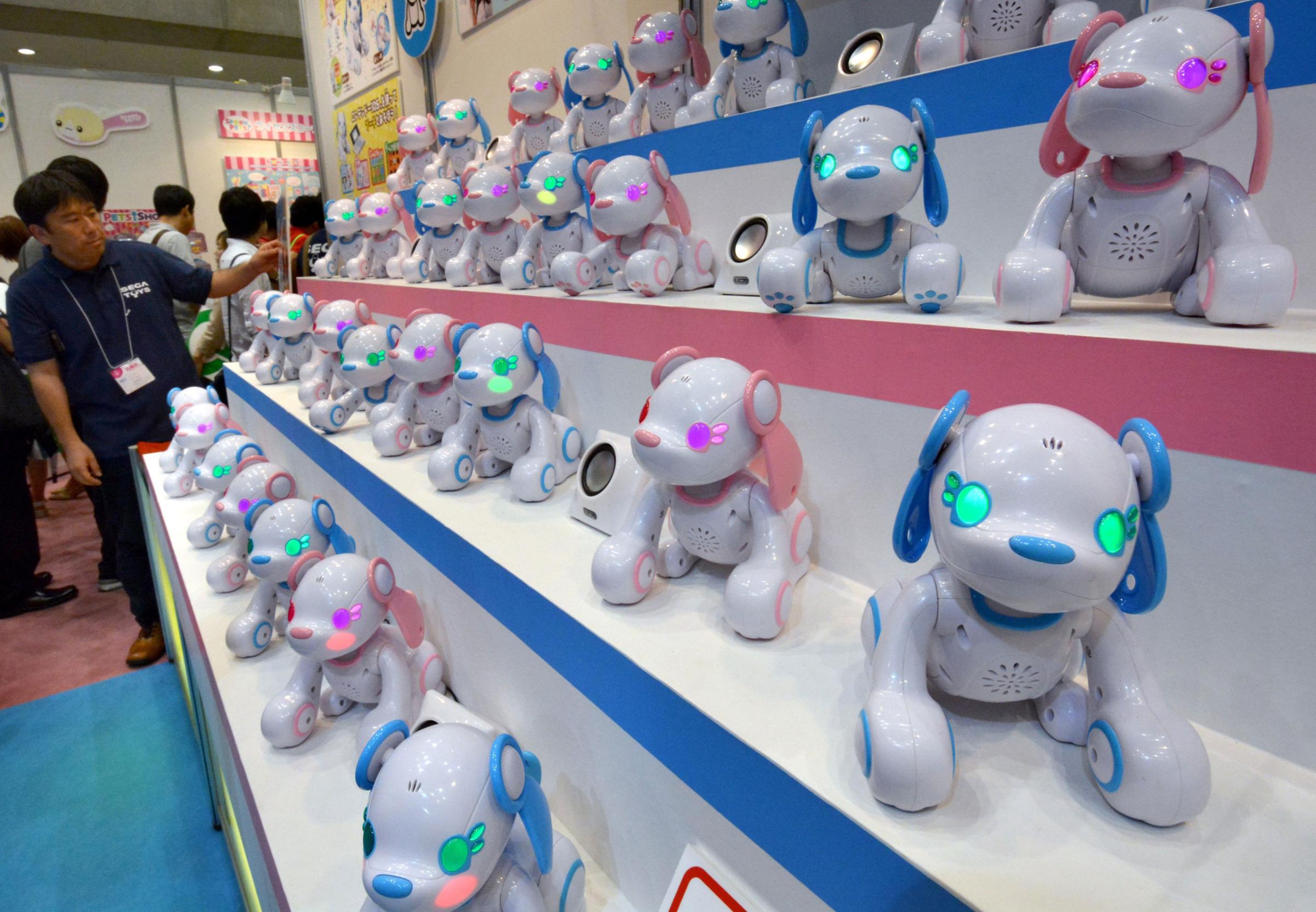Tokyo Toy Show