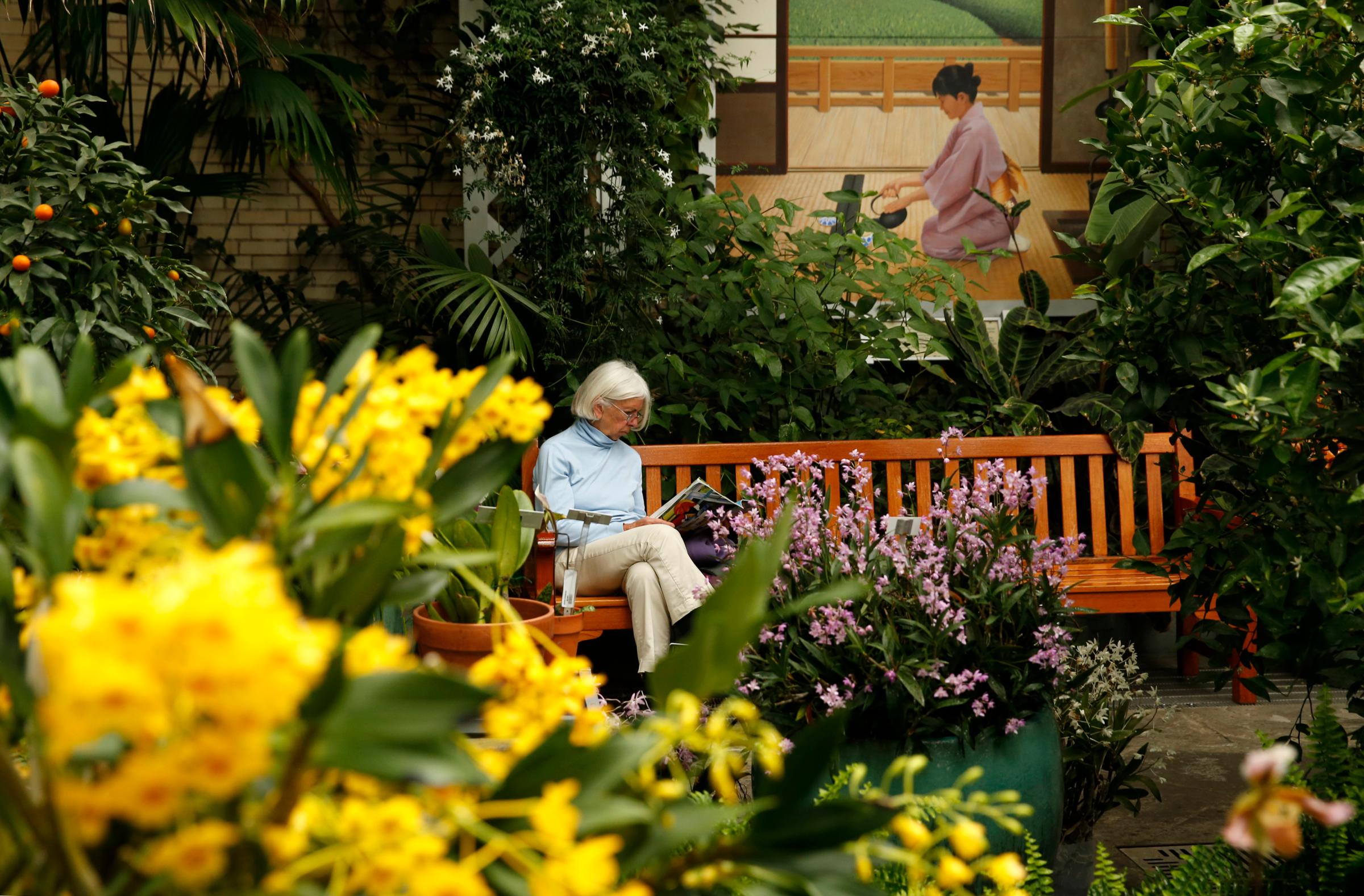 A woman reads a magazine while enjoying classical music at the exhibit "Orchid Symphony" in the conservatory of the United States Botanic Garden in Washington, D.C., on March 12, 2014.