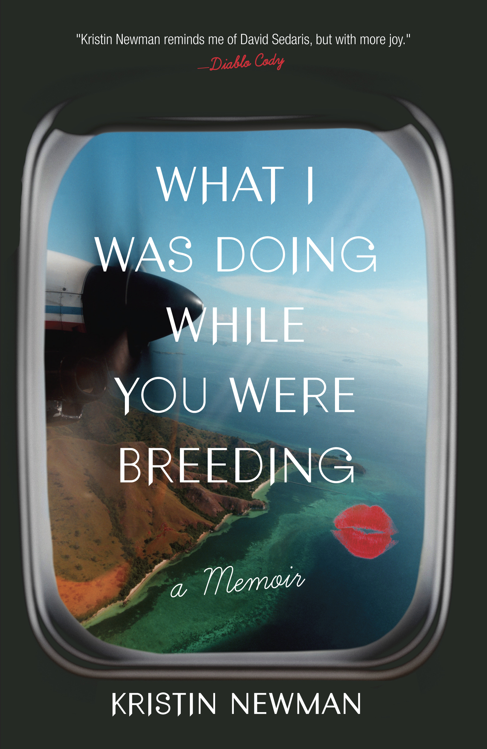 What I Was Doing While You Were Breeding, by Kristin Newman