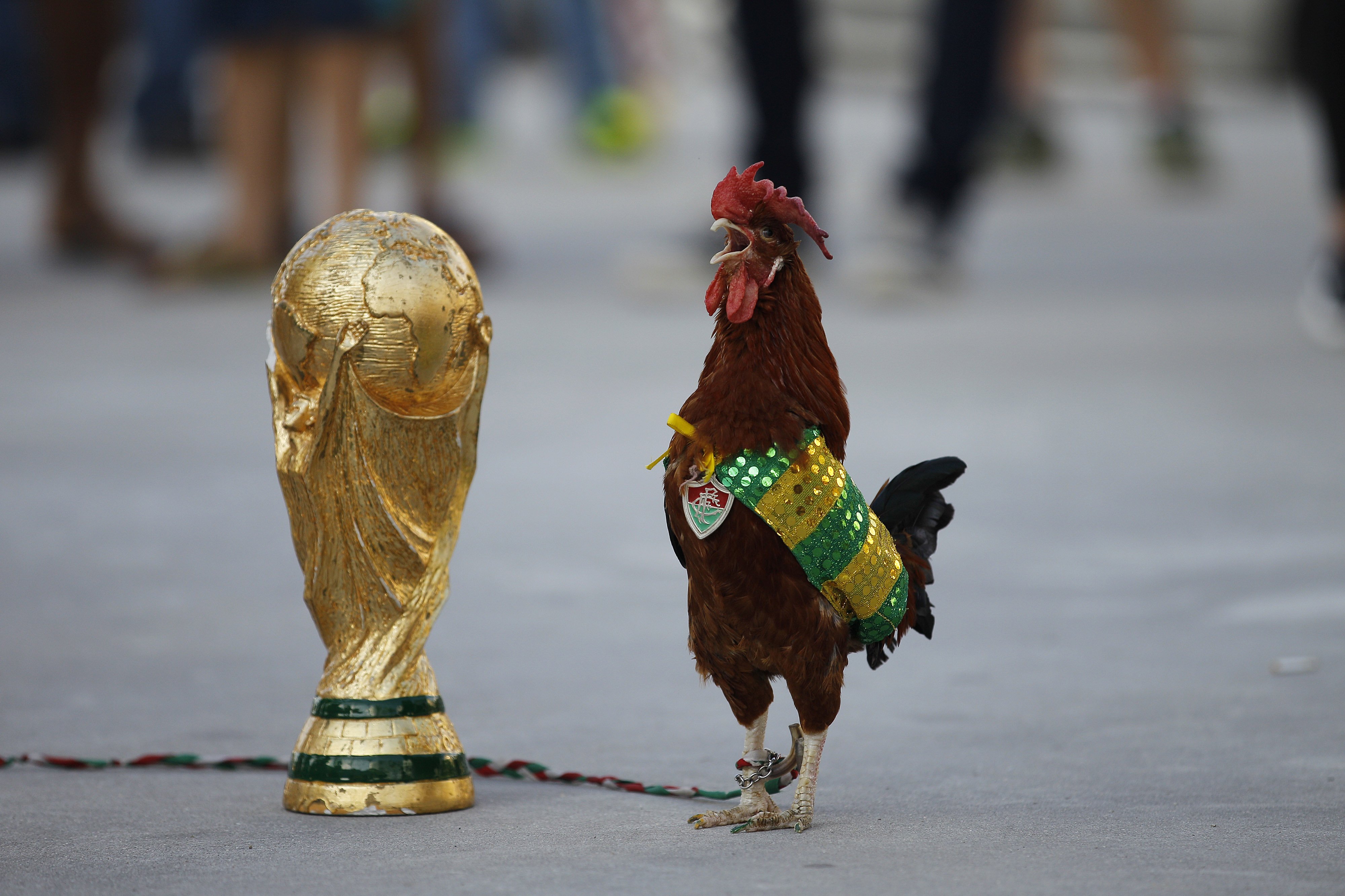 A pet rooster named Paquita Fred stands next to a replica of the World Cup trophy in front of Maracana stadium, in Rio de Janeiro on June 11, 2014. T