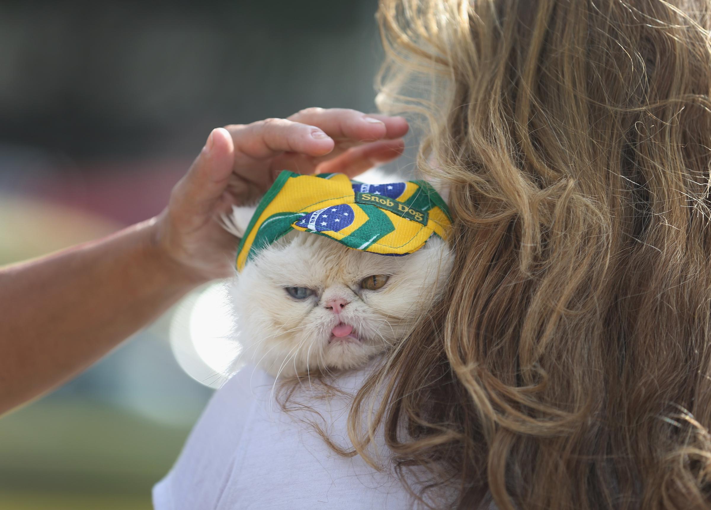 Leila de Matos holds her cat, Yandu, as it wears a Brazlian flag hat as they visit Copacabana beach while waiting for the start of the World Cup tournament on June 11, 2014 in Rio de Janeiro.