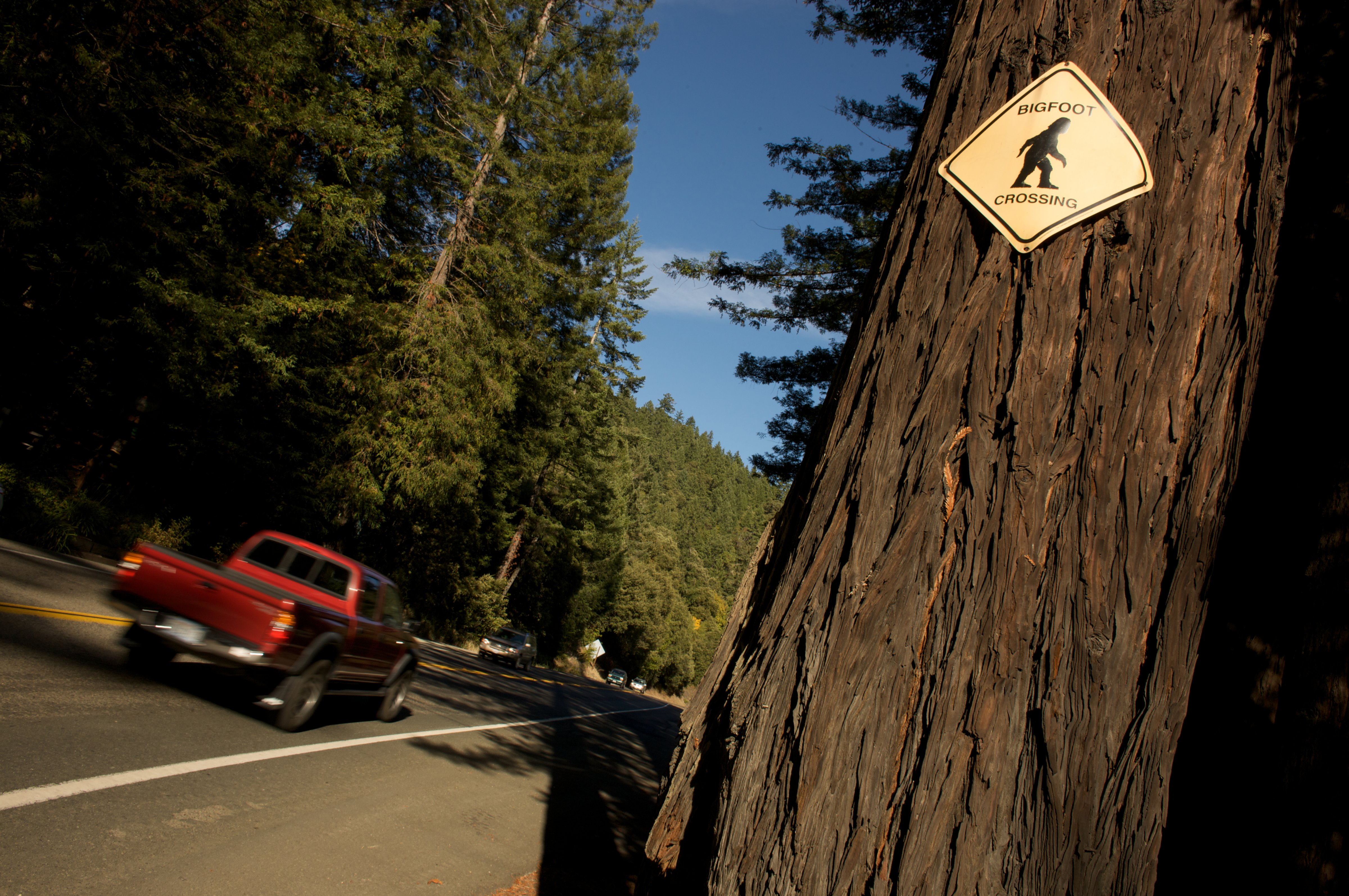Legend of Bigfoot roadside attraction outside Richardson State Park, Calif. (National Geographic/Getty Images)