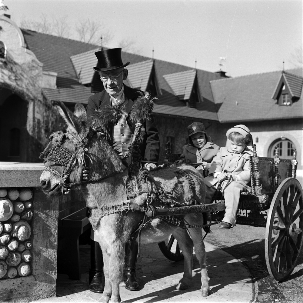 Donkey cart is hitched up by coachman Henry Gersman to give John and Karen Flanigan, children of Gussie's daughter Carlota, a ride around courtyard.