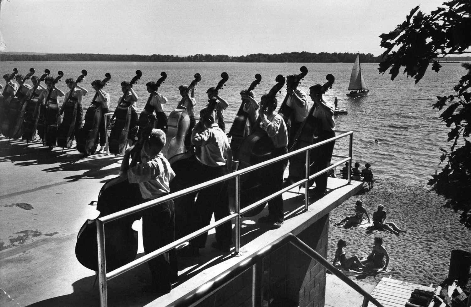 Bevy of bass fiddles at the National Music Camp at Interlochen, Mich., line up on the shore of Lake Wahbekanetta for instruction from Oscar Zimmerman, former first bass player for Toscanini.