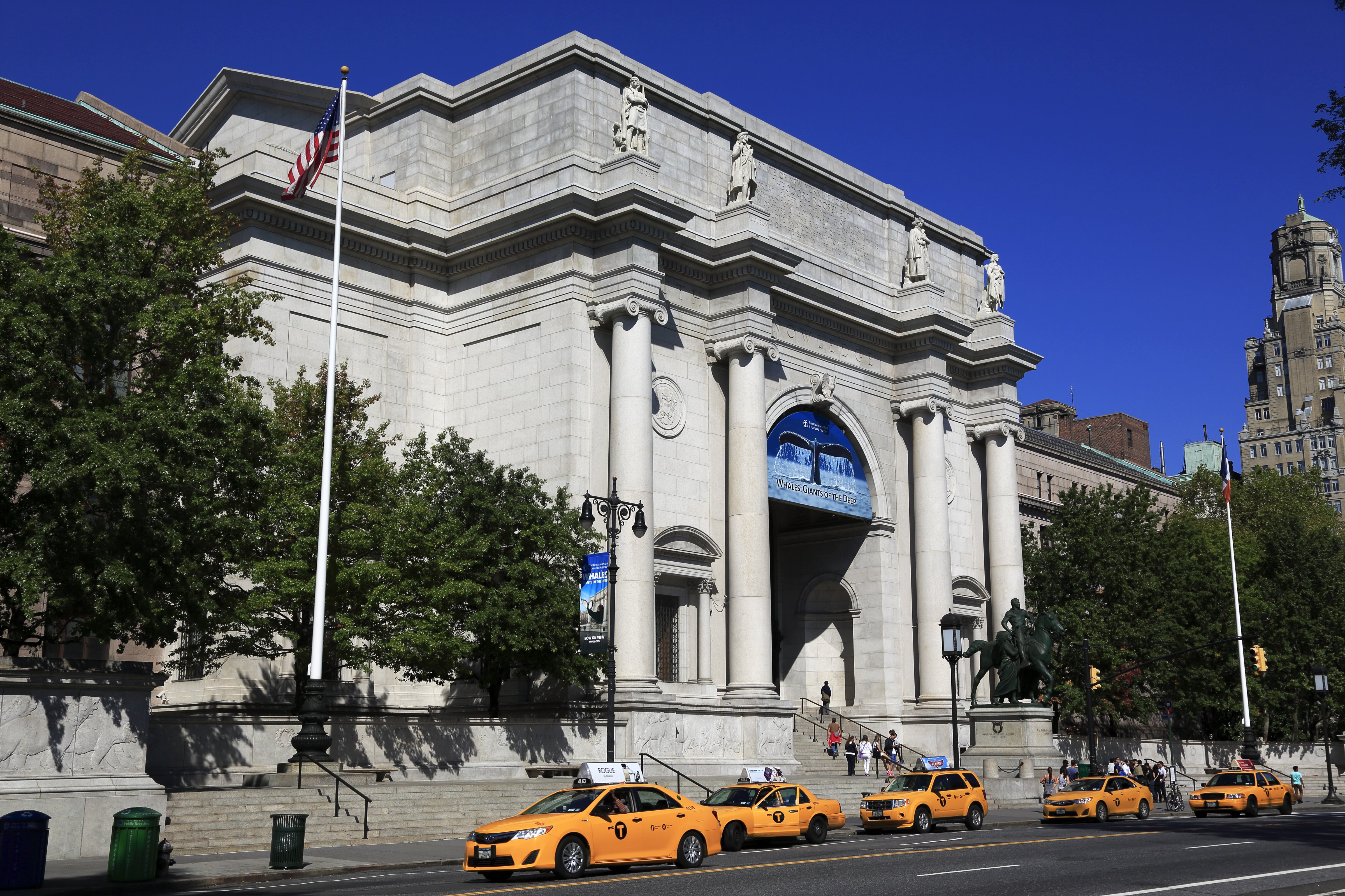 American Museum of Natural History (Bruce Yuanyue—Lonely Planet Images/Getty Images)