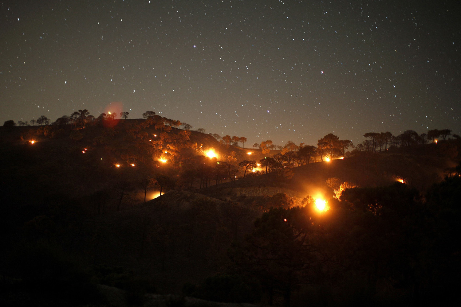 Small forest fires are pictured between pine trees at night at Sierra de Tejeda nature park, on a burnt mountain from El Collado mountain pass, near the town of Competa
