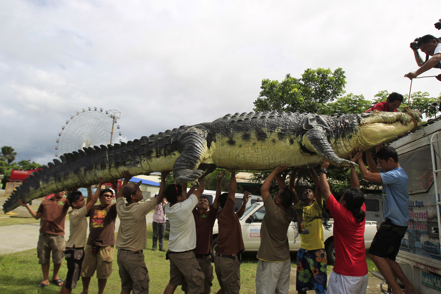 Workers carefully unload 21-foot crocodile robot "Longlong" from the roof of a van, in Crocodile Park in Pasay city, Philippines on July 5, 2014.