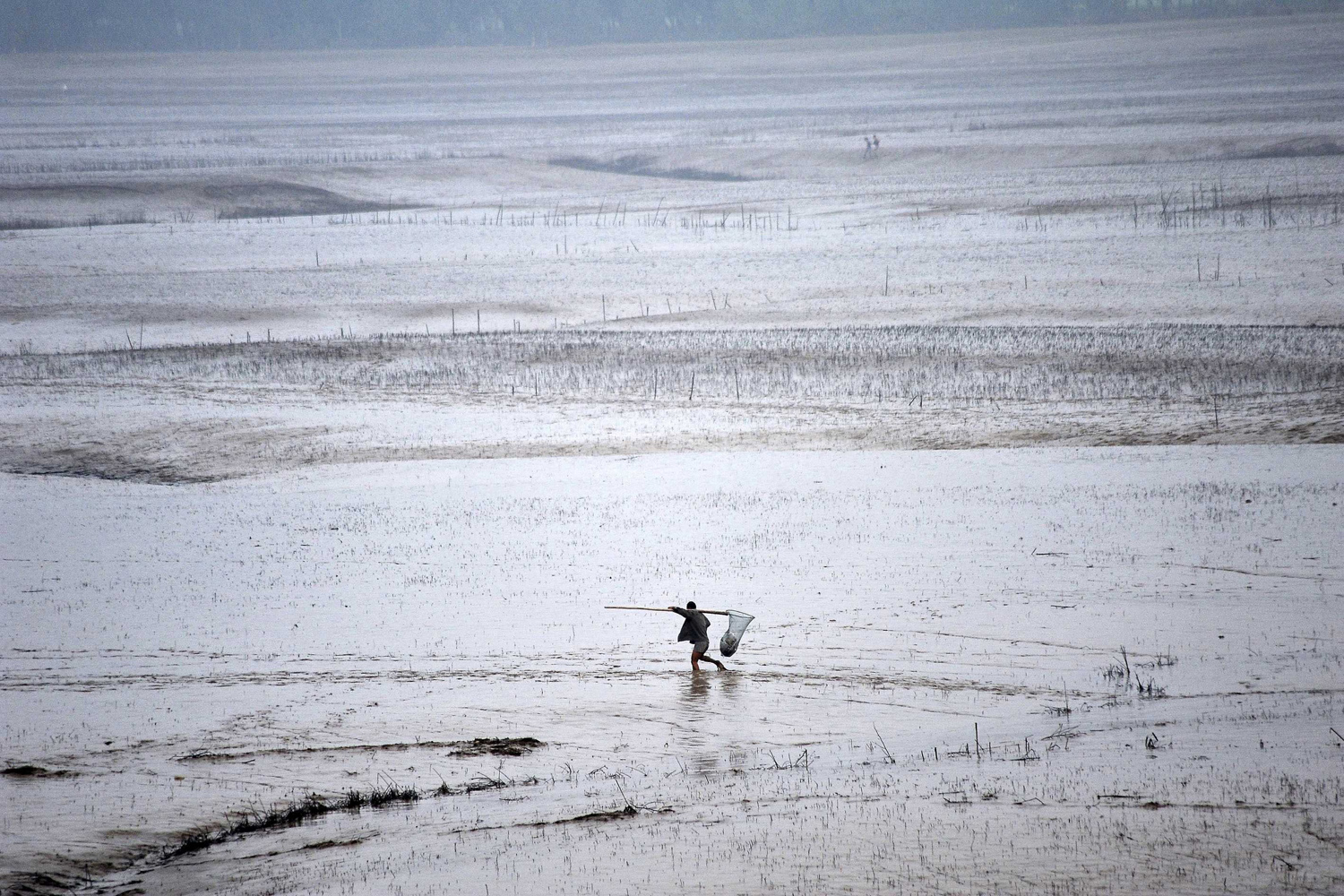A man walks along the bank of the Yellow River to fish, in Pinglu