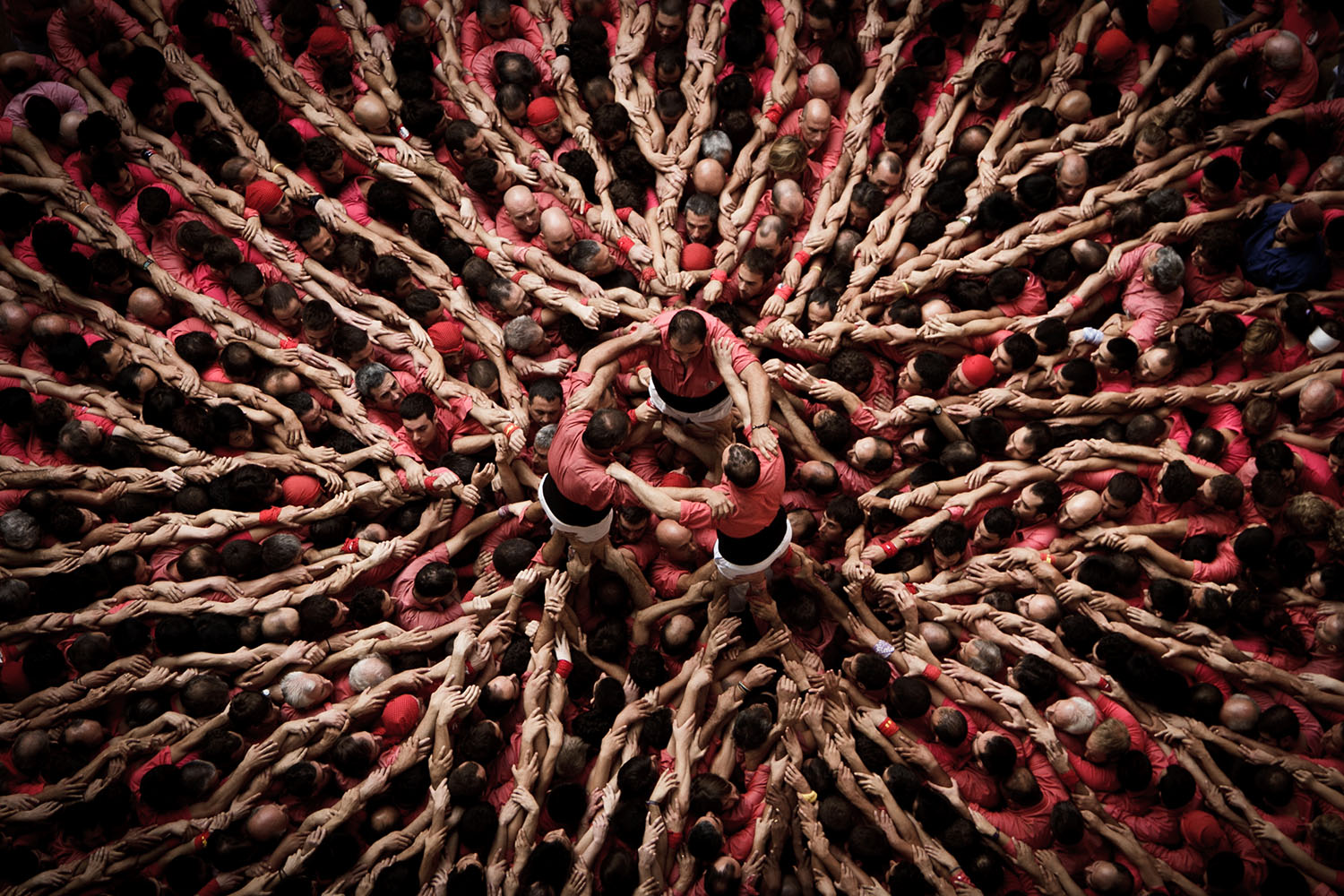 A team or 'colla' assemble the human tower in Tarragona, Spain.  Hundreds of people clamber over each other to form a human tower in these remarkable images. Teams of up to 500 men, women and children compete to build the tallest tower ñ which can be as many as ten levels tall. July 28, 2014