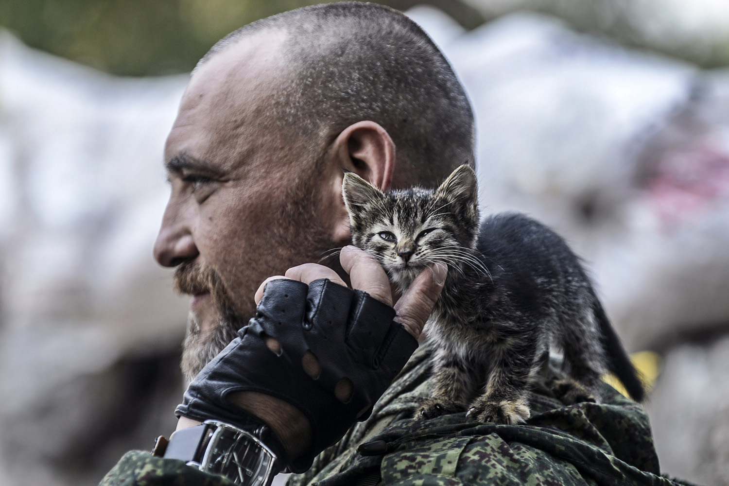 Jul. 22, 2014. A pro-Russia separatist pets a kitten standing on his shoulder as he mans a checkpoint in the northern outskirts of city of Donetsk.