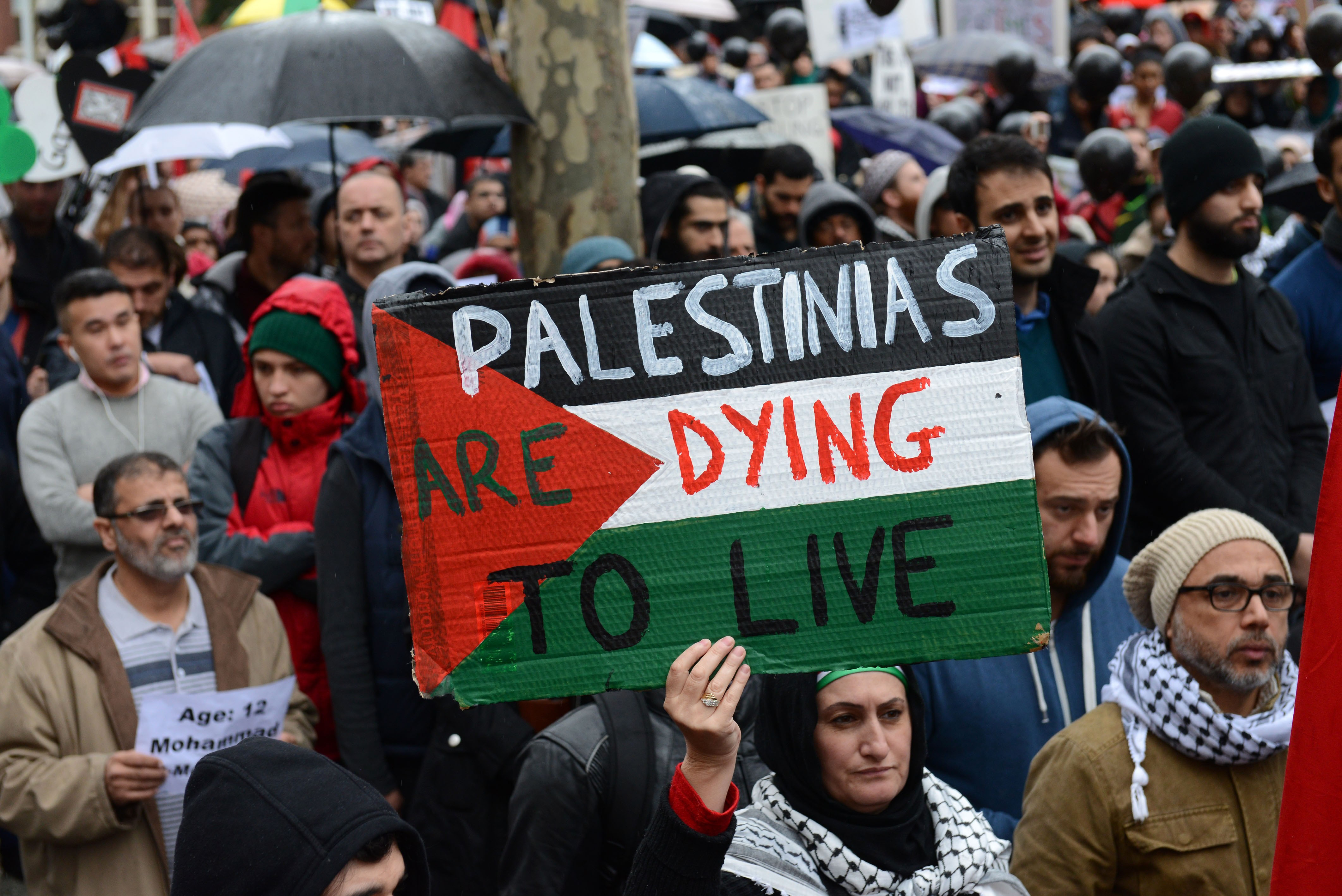 Thousands of people stage a demonstration to protest the Israeli ongoing attacks in Gaza on July 26, 2014, in Melbourne, Australia. (Recep Sakar—Anadolu Agency/Getty Images)