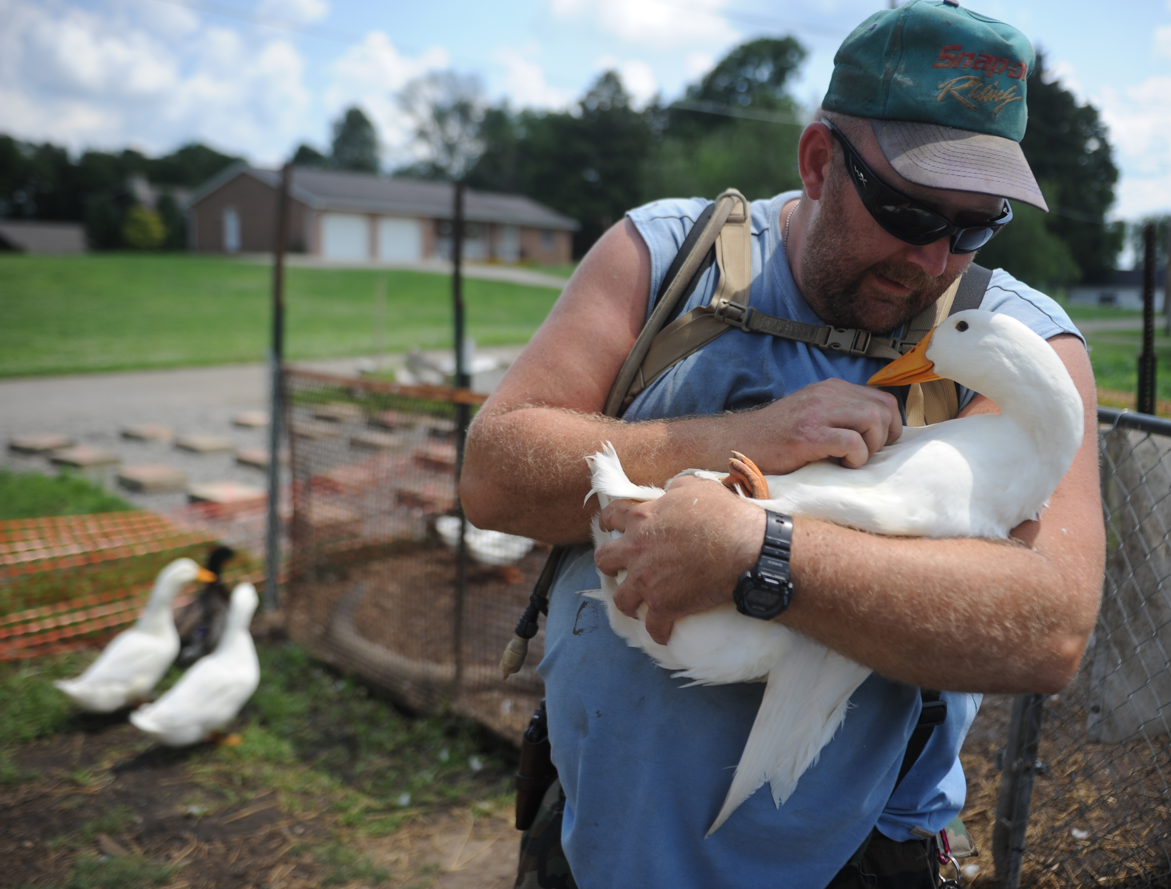 Iraq war veteran Darin Welker holds one of his ducks at his home in West Lafayette, Ohio on July 10, 2014.