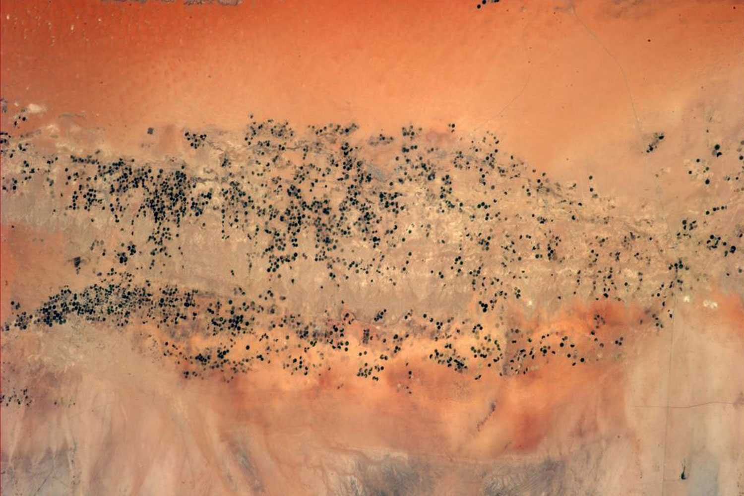 Irrigation in the #Sahara #Desert looks like a challenging task from up here... #BlueDot