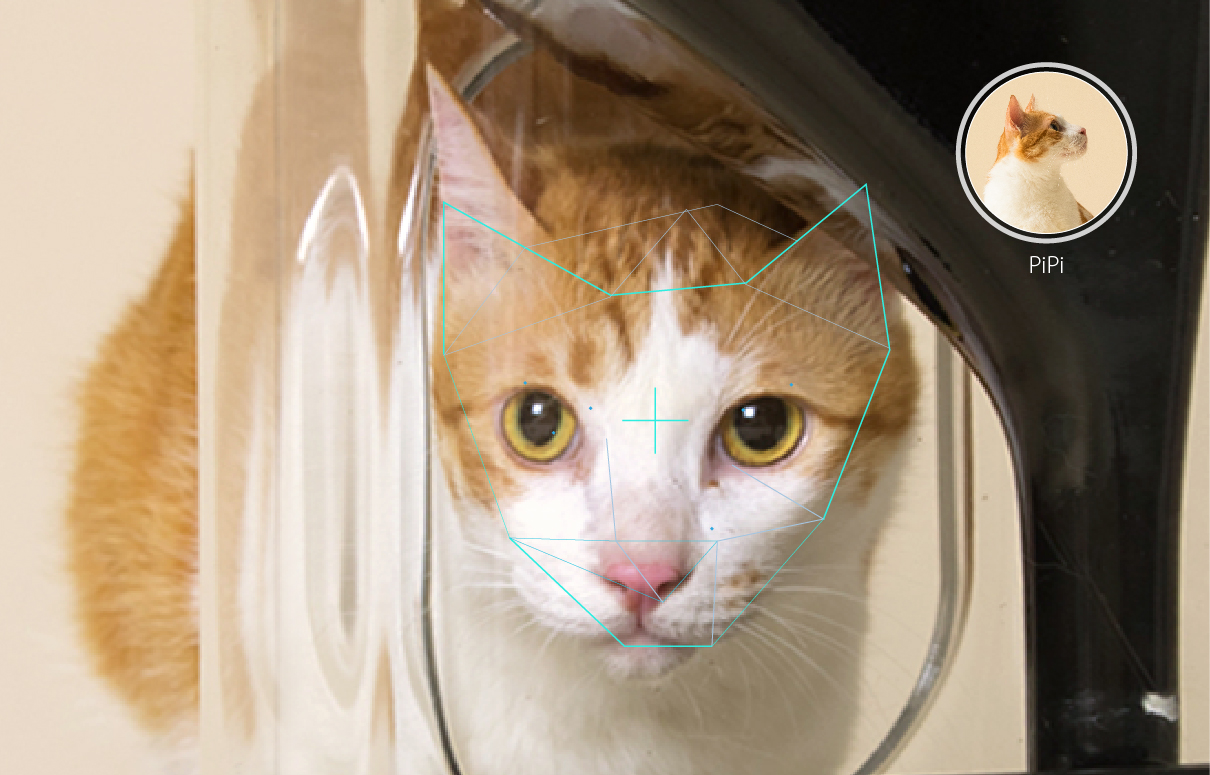 Bistro Smart Cat Feeder Uses Facial Recognition Time