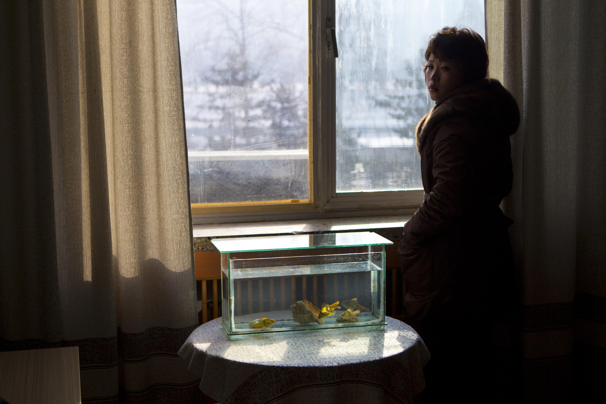 Light shines through a window on to a tank filled with goldfish inside an office at the Korean Central News Agency building in Pyongyang, North Korea,  Jan. 16, 2012.