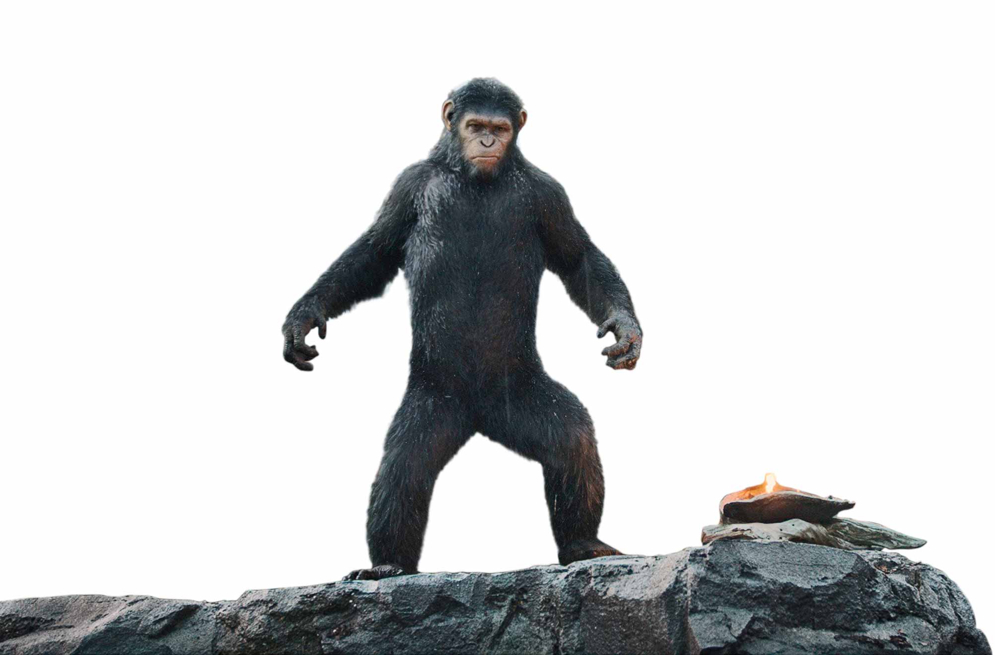 <em>Caesar’s palace: the lord of the apes (Serkis) rules his forest realm</em> (WETA/20th Century Fox)