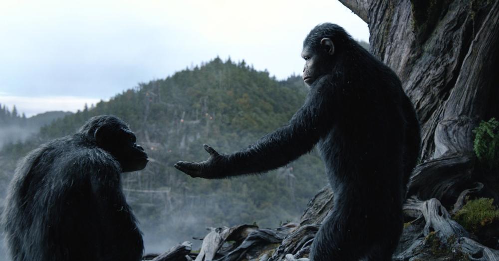 DAWN OF THE PLANET OF THE APES, Toby Kebbell, Andy Serkis, 2014. ph: David James/TM and ©Copyright