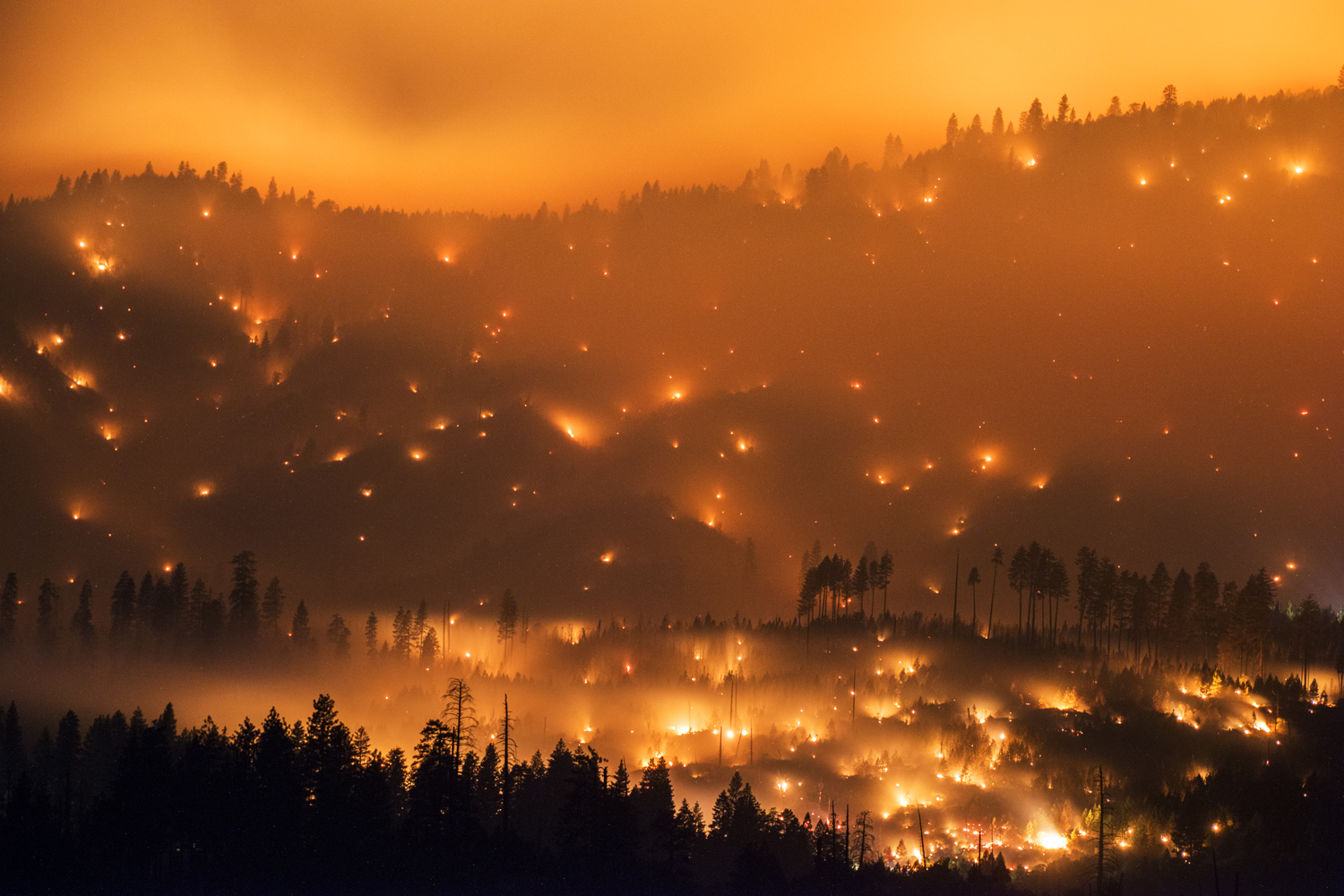 The El Portal Fire burns on a hillside in the Stanislaus National Forest and Yosemite National Park, July 27, 2014.