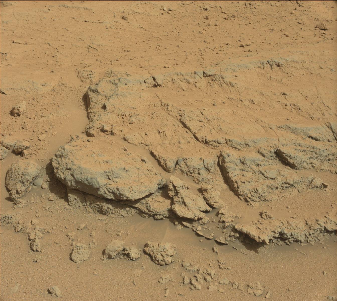 This view of the rocky site  Darwin  was taken with the left eye of the Mast Camera (Mastcam) on Curiosity during the 390th Martian day, or sol, of the rover's work on Mars (Sept. 10, 2013).