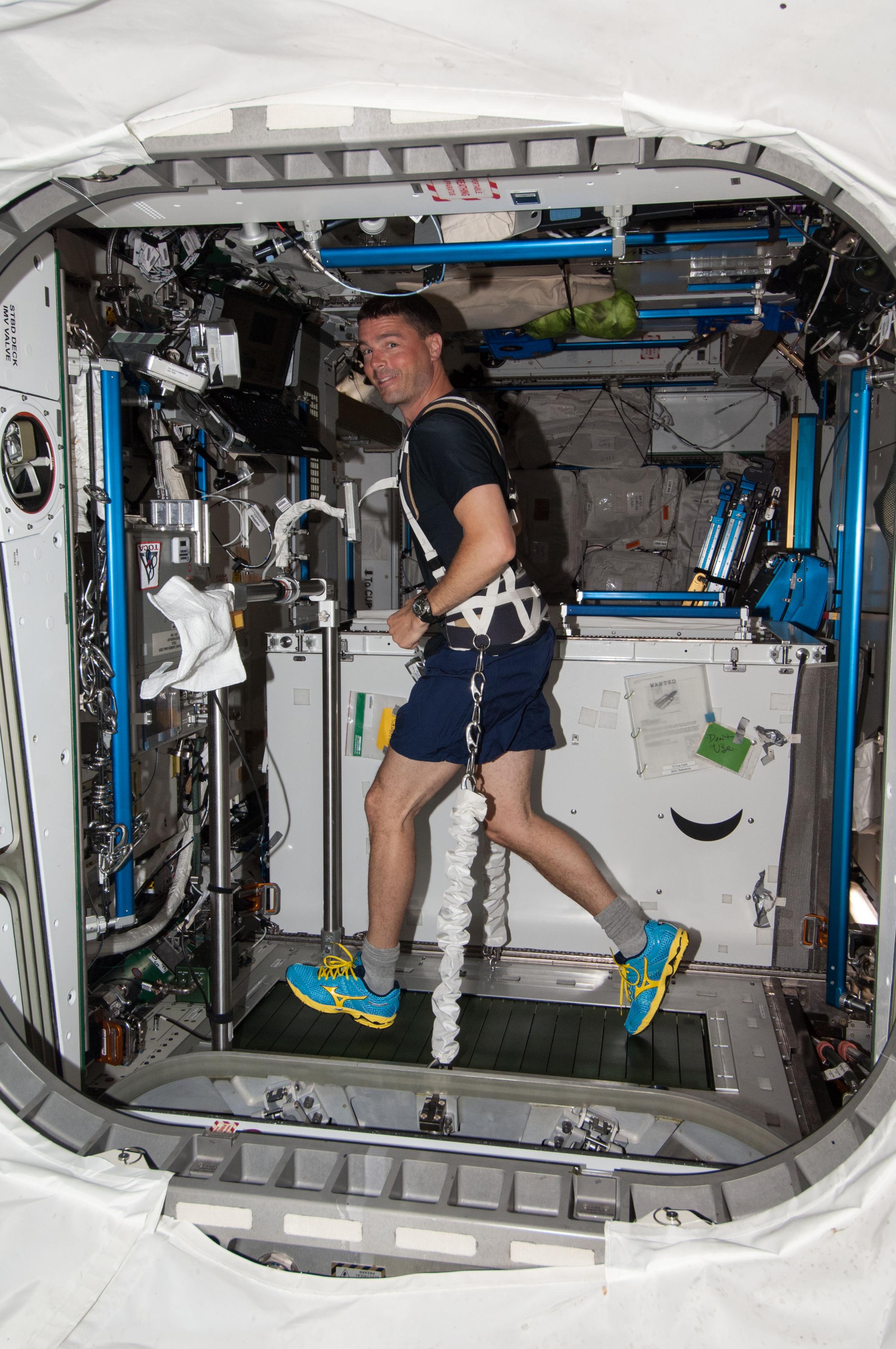 Astronaut Reid Wiseman, equipped with a bungee harness, exercises on the Combined Operational Load Bearing External Resistance Treadmill (COLBERT) in the Tranquility node of the International Space Station.