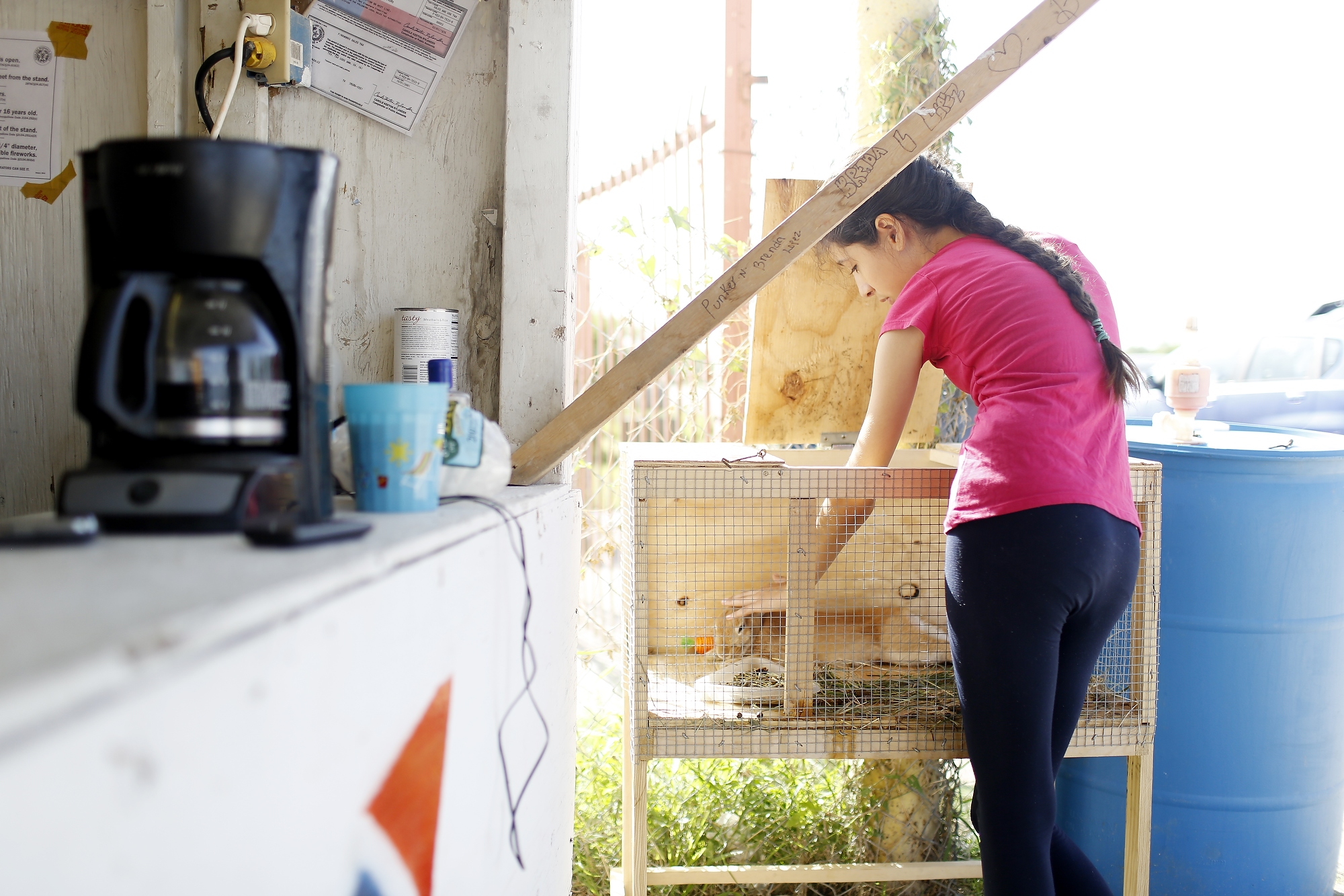 Briana pets her pet rabbit who is living with the family at the fireworks stand in Hidalgo, Texas on July 1, 2014.