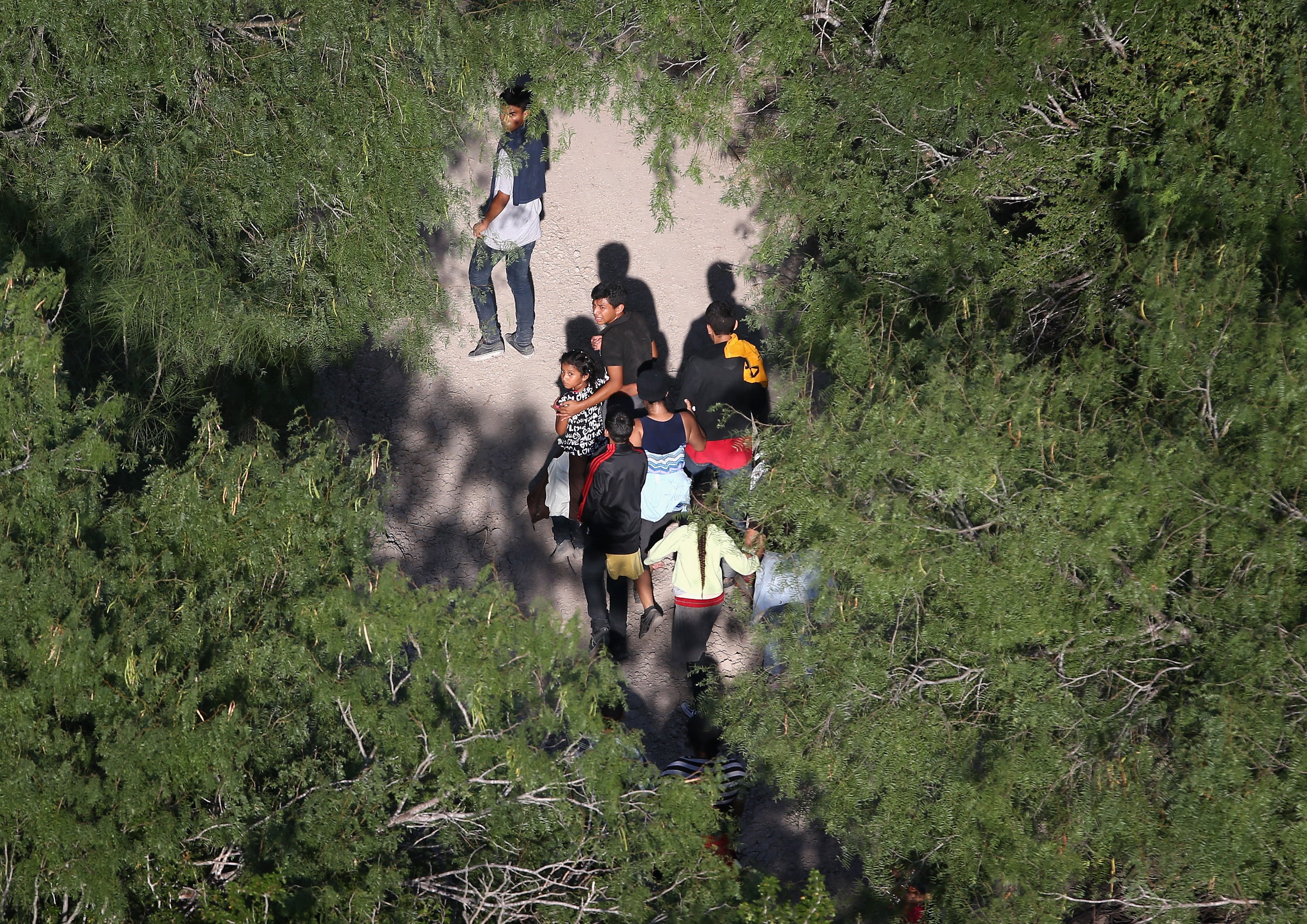 Undocumented immigrant families walk before being taken into custody by Border Patrol agents near McAllen, Texas on July 21, 2014.