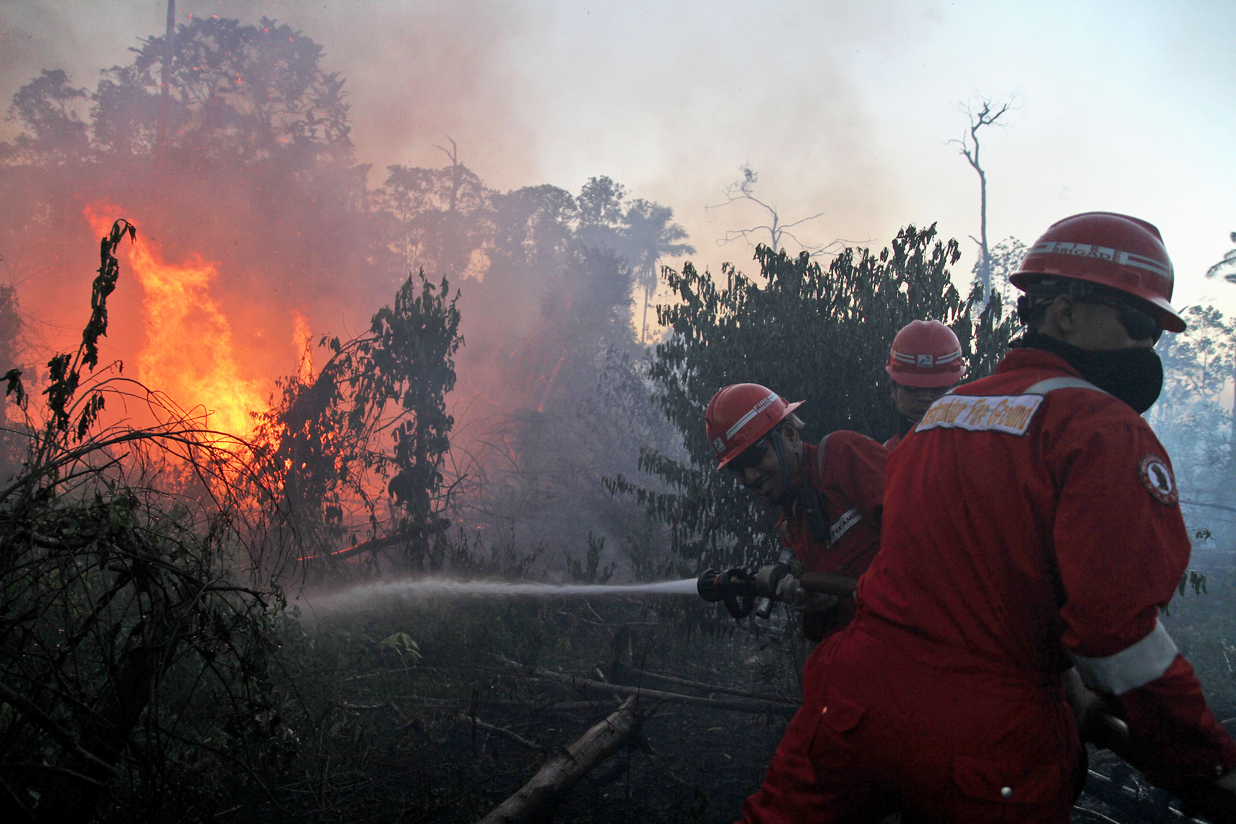 Firemen spray water to extinguish wildfires in Dumai, Indonesia, on June 18, 2014 (Rony Muharrman—AP)