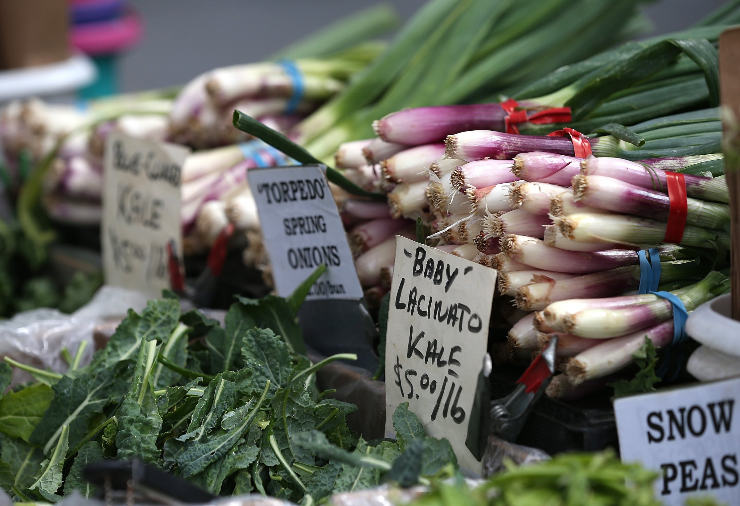 Food Prices Expected To Rise Significantly In 2014