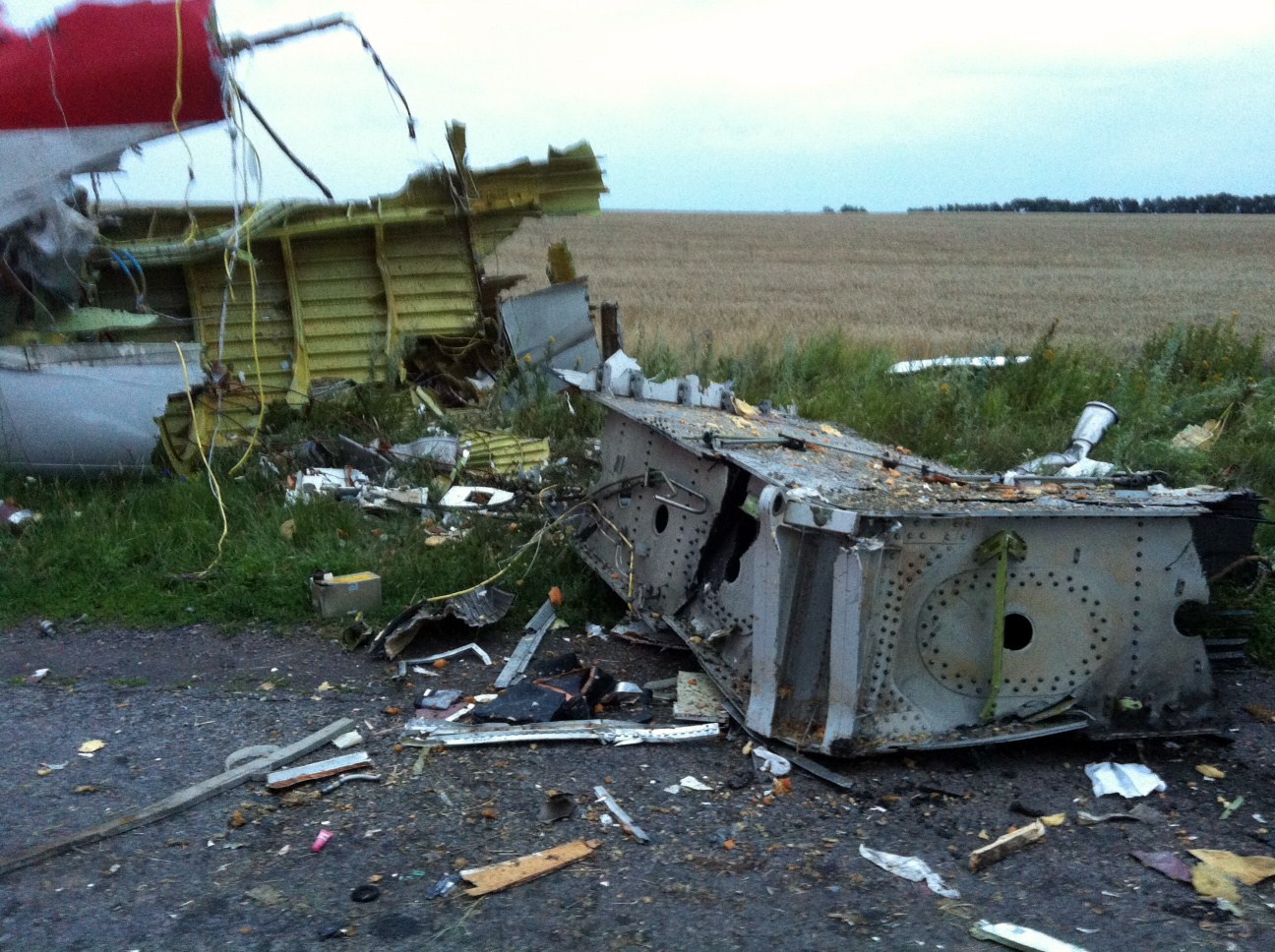 Wreckage of the malaysian airliner carrying 295 people from Amsterdam to Kuala Lumpur after it crashed, in rebel-held east Ukraine July 17, 2014.