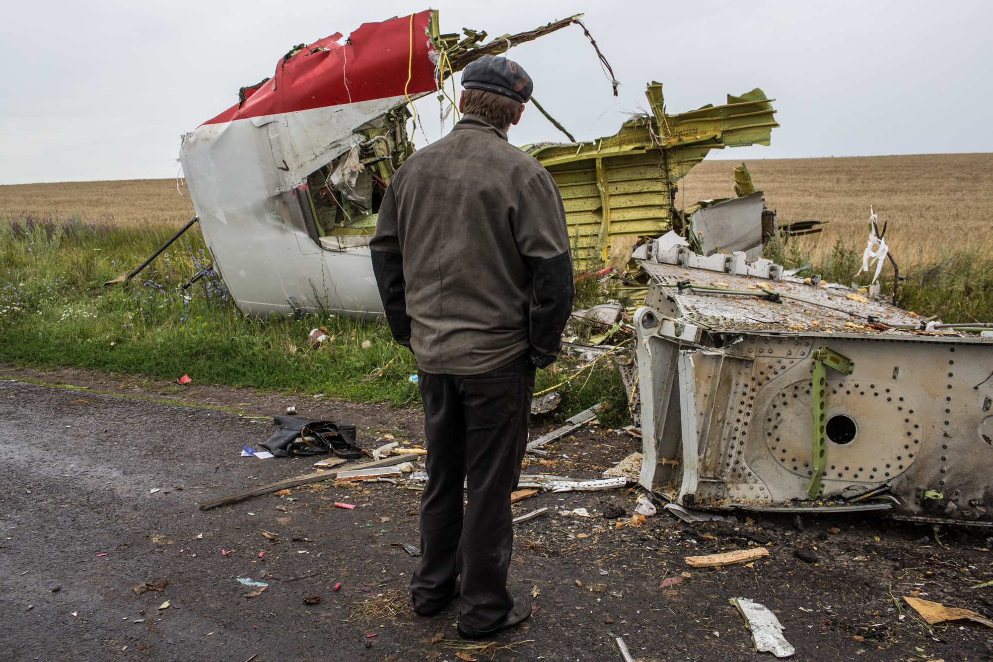 A man looks at the wreckage of passenger plane Malaysia Airlines flight MH17 on July 18, 2014 in Grabovka, Ukraine.