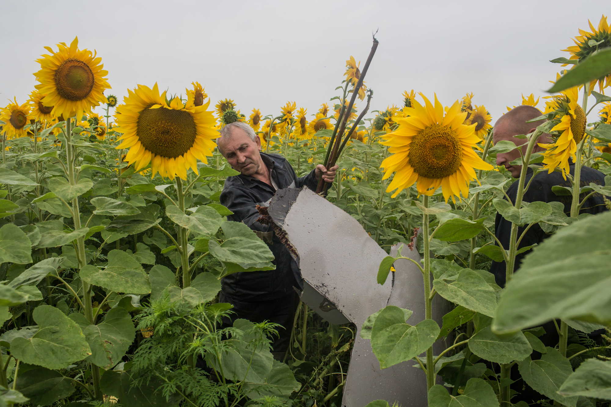 Miners inspect a piece of debris found in a field from an Air Malaysia plane on July 18, 2014 in Grabovka, Ukraine.