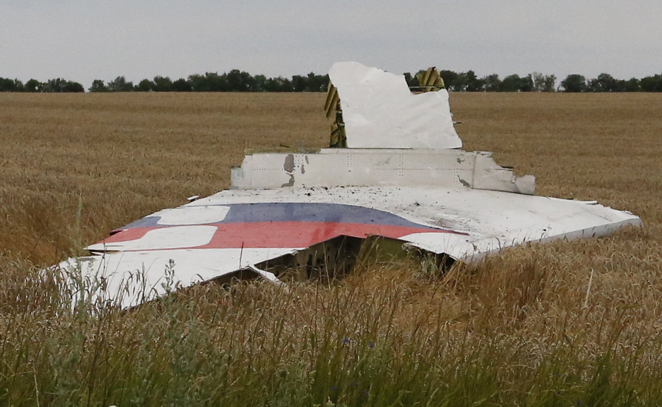A part of the wreckage of a Malaysia Airlines Boeing 777 plane is seen after it crashed near the settlement of Grabovo in the Donetsk region, July 17, 2014. (Maxim Zmeyev—Reuters)