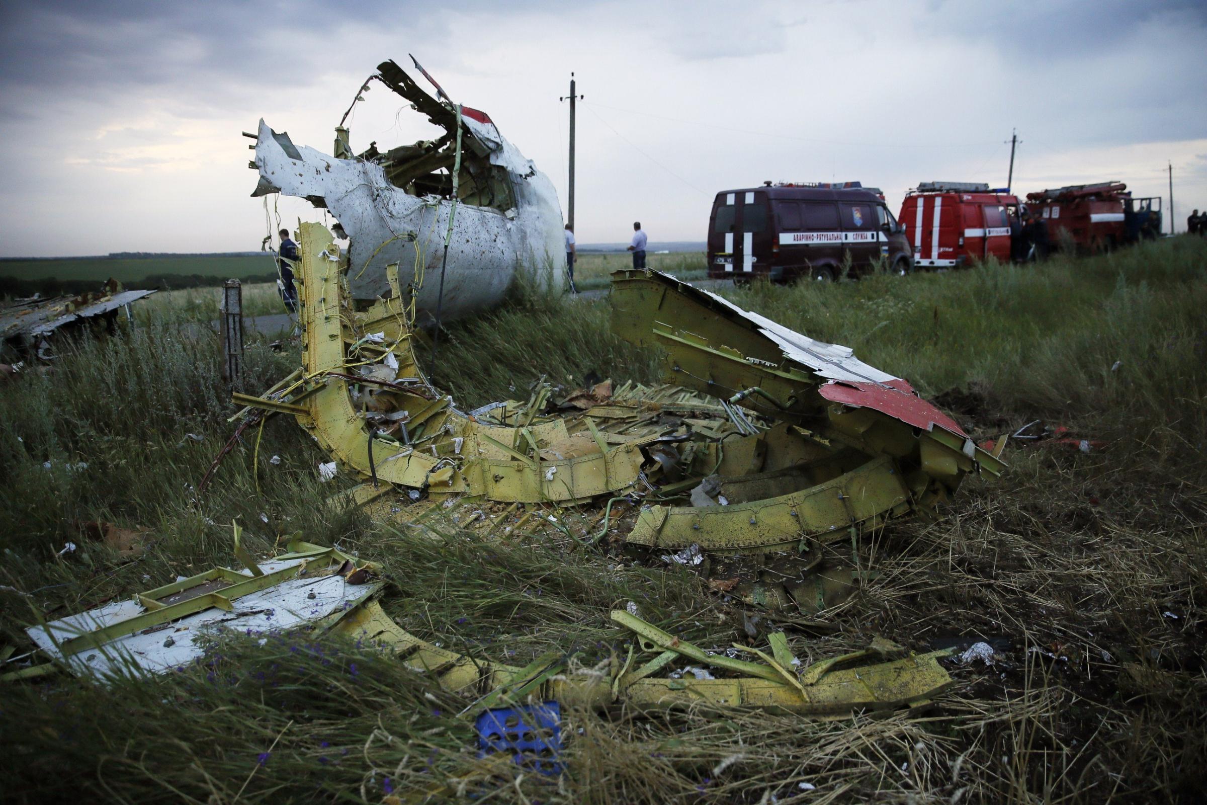 The wreckage of the Malaysian airliner carrying 295 people from Amsterdam to Kuala Lumpur after it crashed on July 17, 2014 near the town of Shaktarsk, in rebel-held east Ukraine.