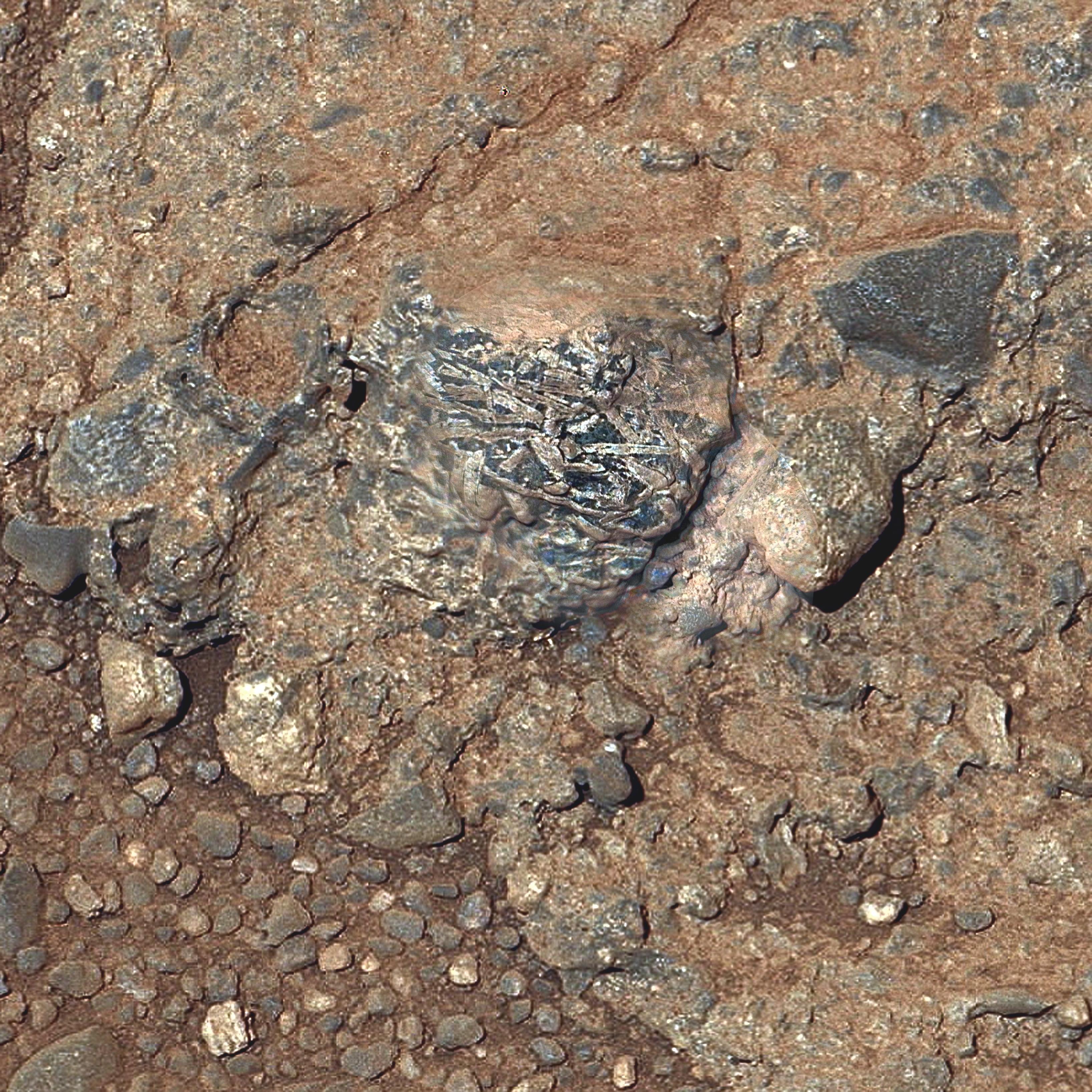 This view of a Martian rock target called  Harrison  merges images from two cameras on NASA's Curiosity Mars rover to provide both color and microscopic detail.  Curiosity inspected the rock's appearance and composition on the mission's 514th sol, or Martian day (Jan. 15, 2014).