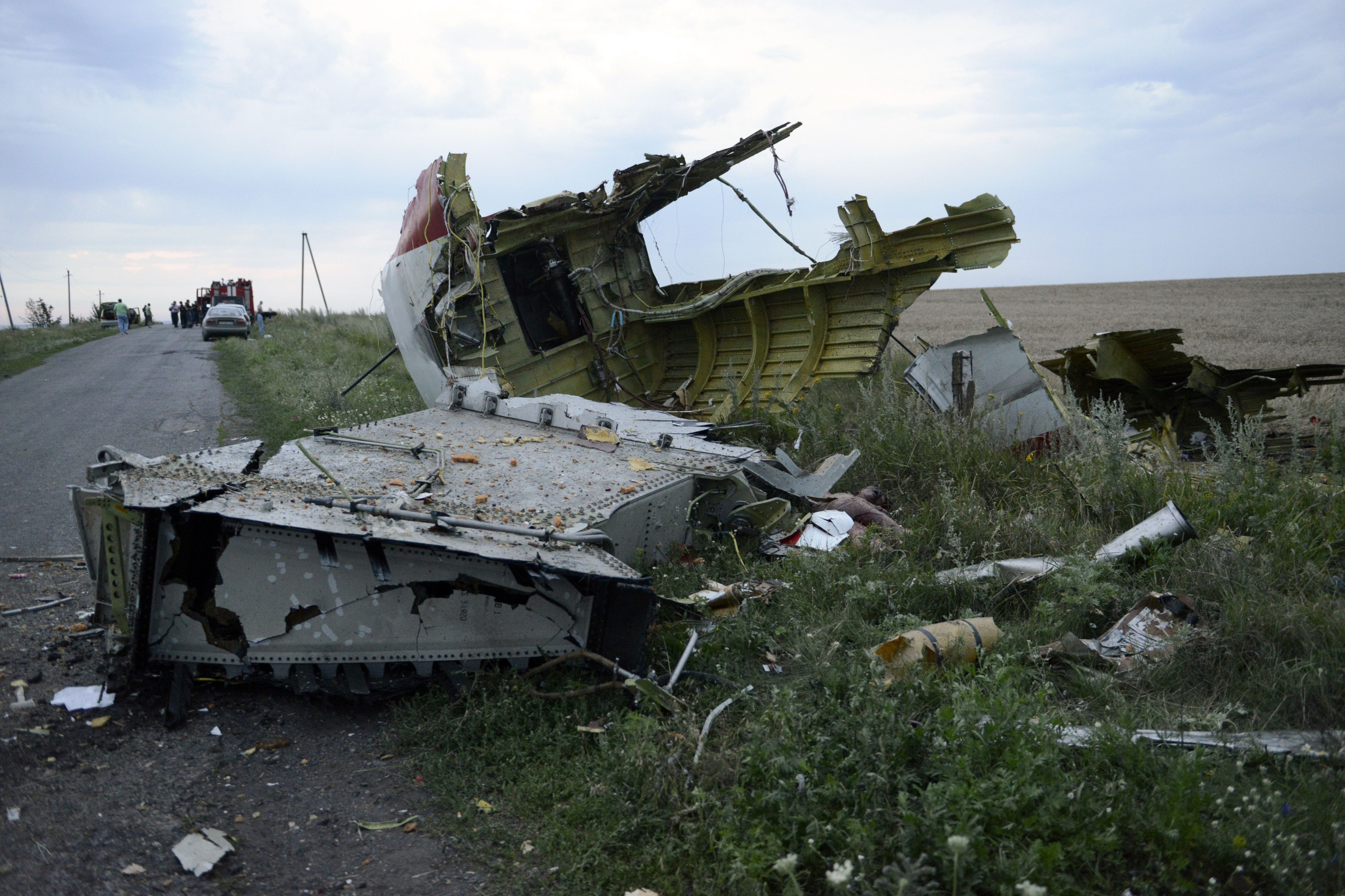A picture taken on July 17, 2014, shows the wreckages of the Malaysian airliner carrying 298 people from Amsterdam to Kuala Lumpur after it crashed, near the town of Shaktarsk, in rebel-held east Ukraine. (Alexander Khudoteply—AFP/Getty Images)