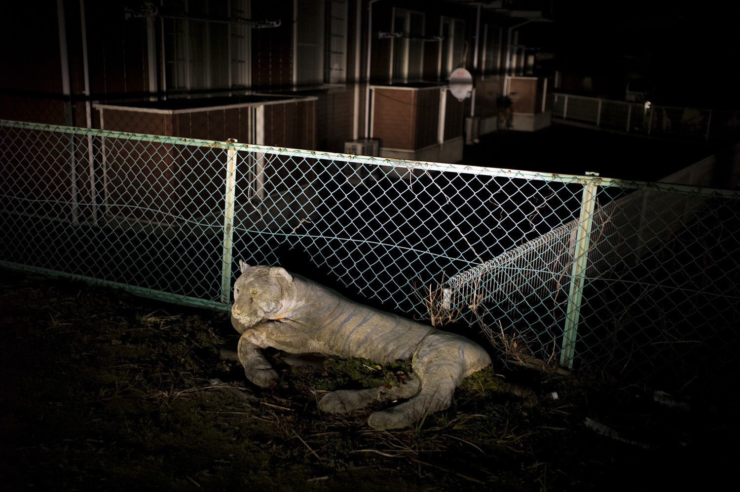 Japan, Iwaki, 2014. A stuffed animal lies outside of a cheap housing block in Iwaki where nuclear and decontamination workers from the Fukushima Daiichi Nuclear Power Station live.