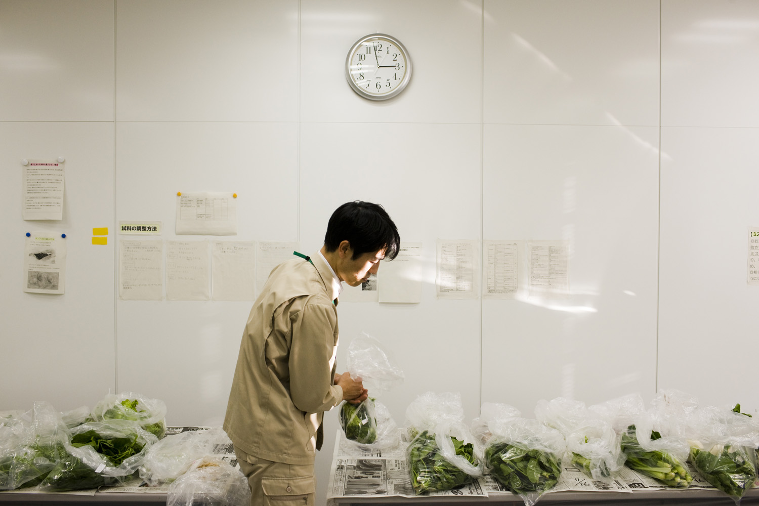 Japan, Koriyama, 2011. A worker inside the Fukushima Agricultural Technology Centre in Koriyama prepares vegetables from Fukushima for examination. Radiation levels in vegetables are checked before the food is approved for trade and consumption.