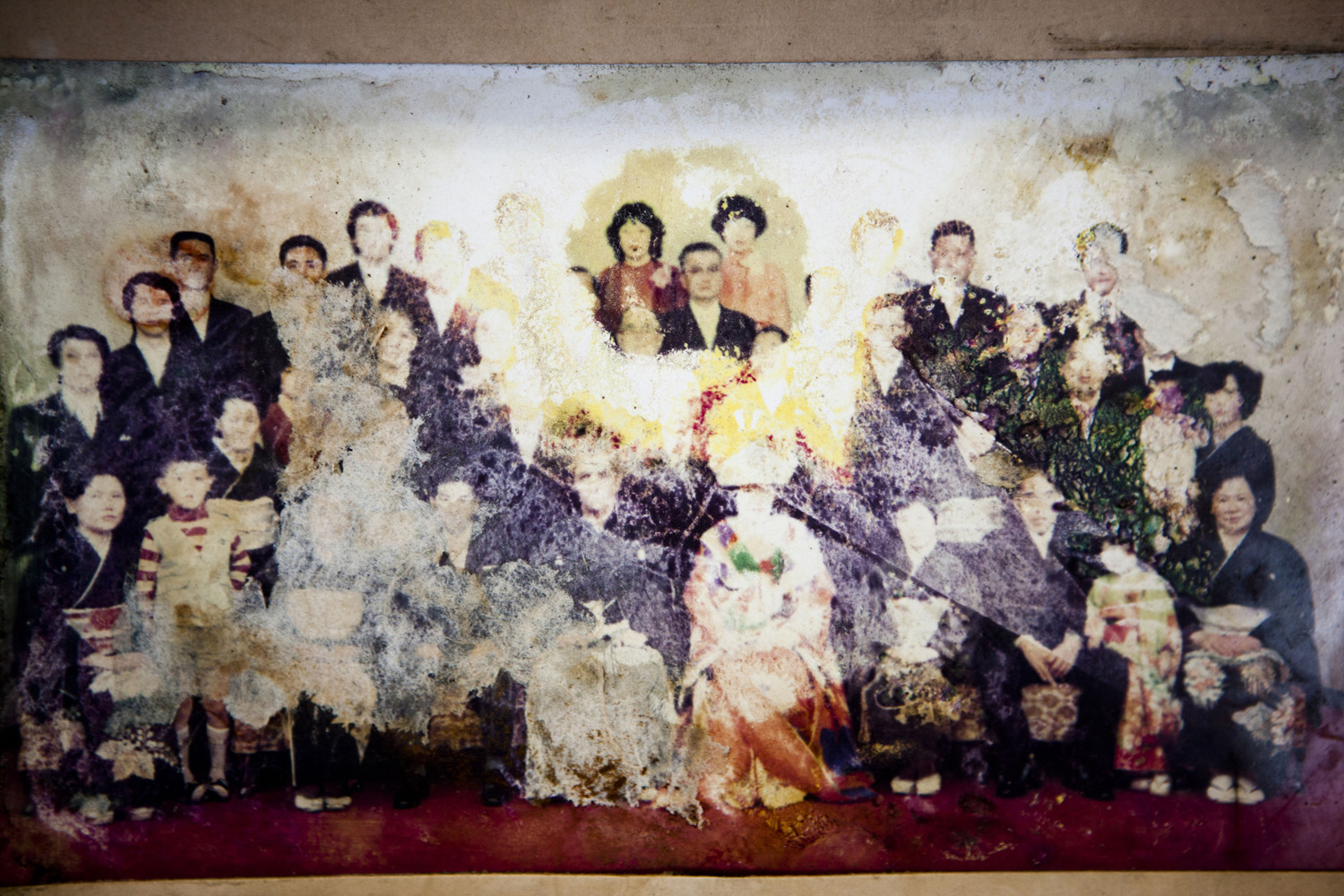 Japan, Minamisoma, 2012.
                              A photograph damaged by the tsunami is preserved in a gallery for family members to find again near the city center in Minamisoma.