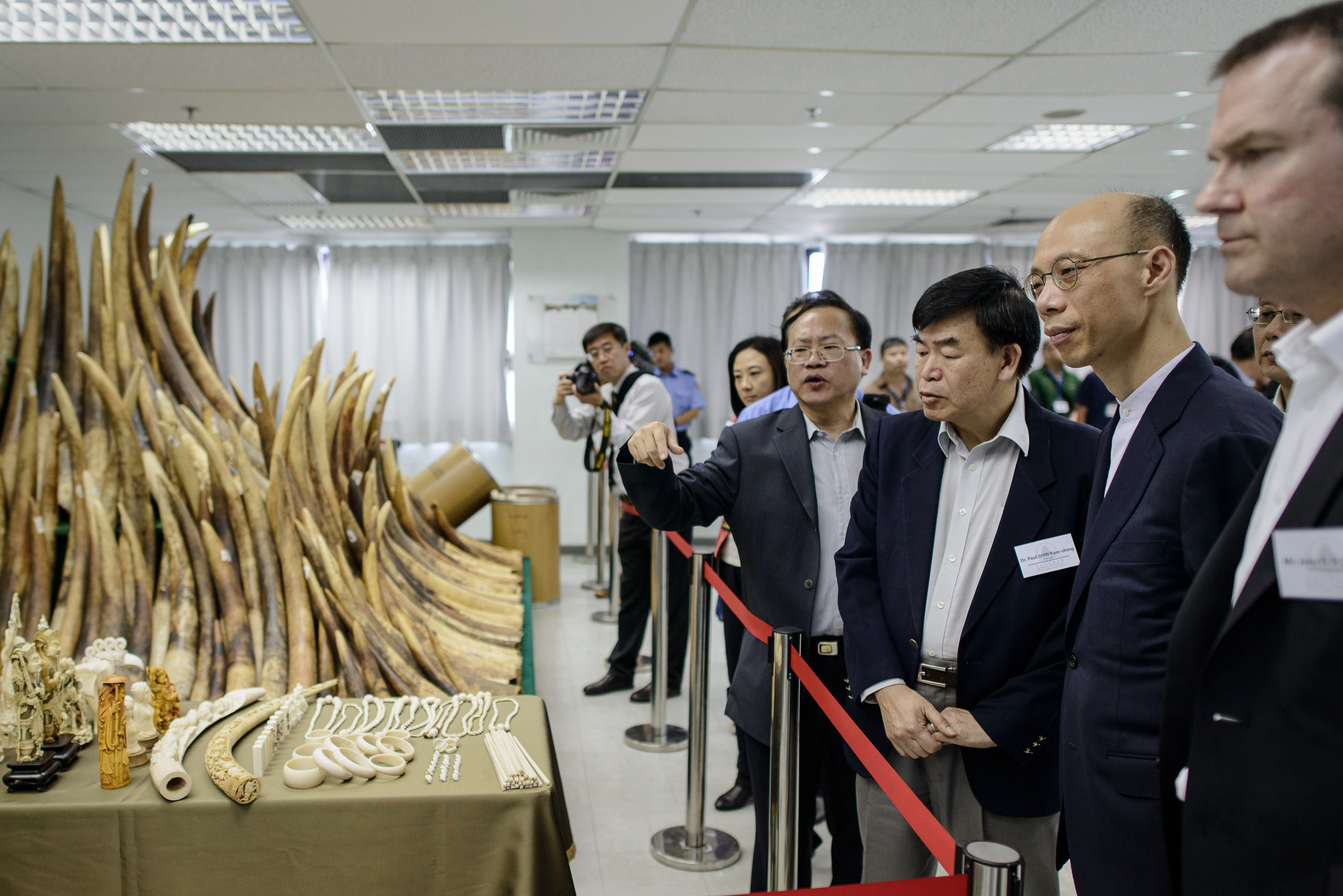 Officials and guests including Hong Kong's Secretary for the Environment Wong Kam-sing are shown seized ivory displayed in Hong Kong