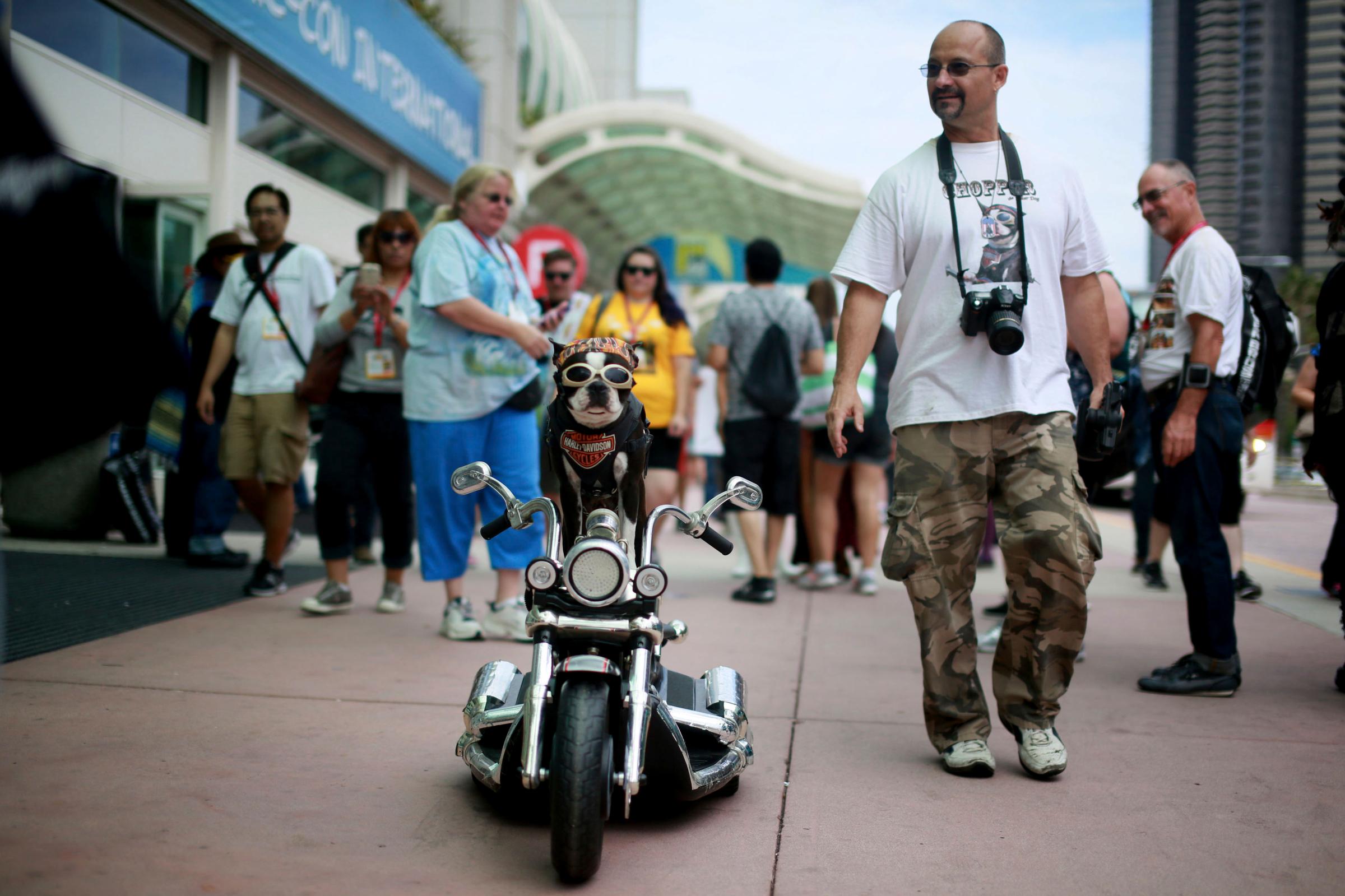 Mark Shaffer walks with Chopper The Biker Dog outside of the San Diego Convention Center during the 2014 Comic-Con International Convention in San Diego