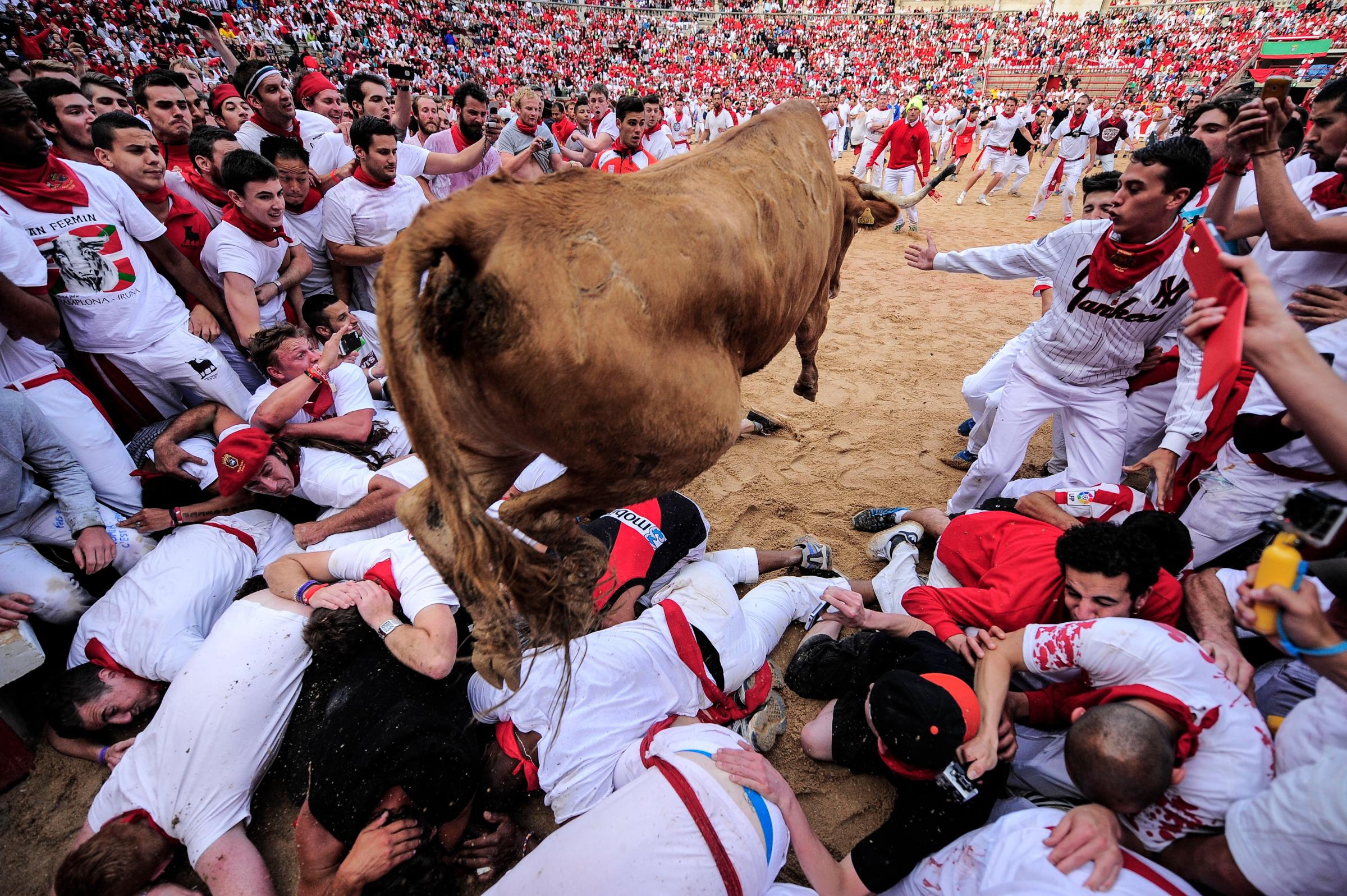 A cow jumps over revelers at the San Fermin festival, in Pamplona, Spain on July 8, 2014.