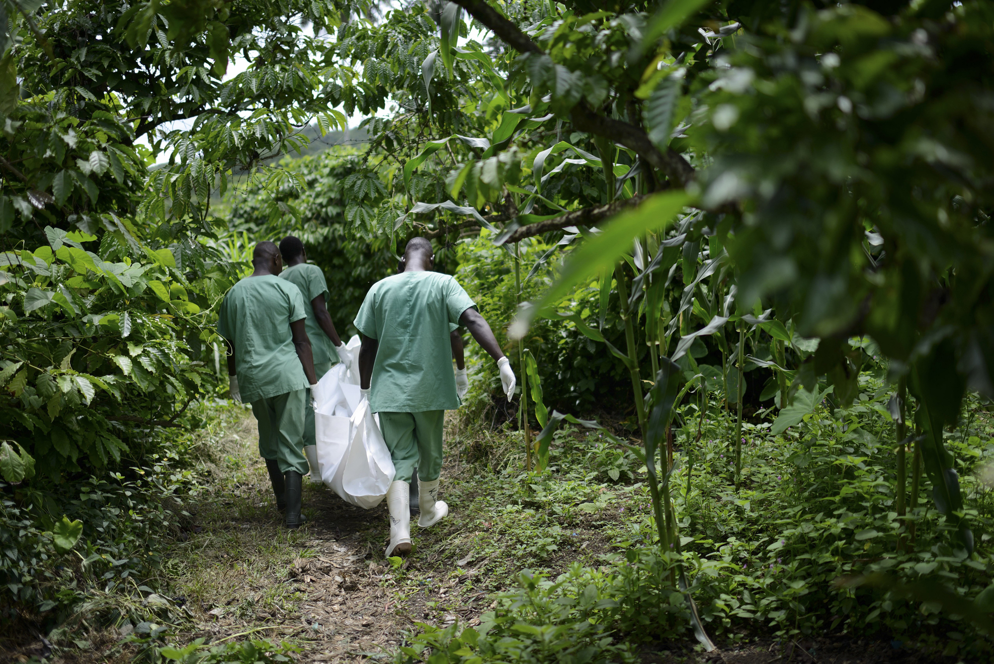 Red Cross workers carry the body of Marie Conde, 14, who died of Ebola, through the bush in Koundony, Guinea.