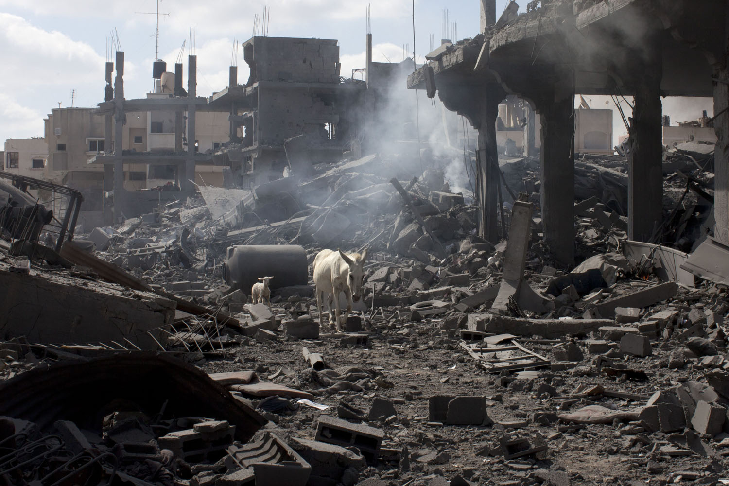 Humanitarian Cease Fire Reveals Massive Gaza Destruction