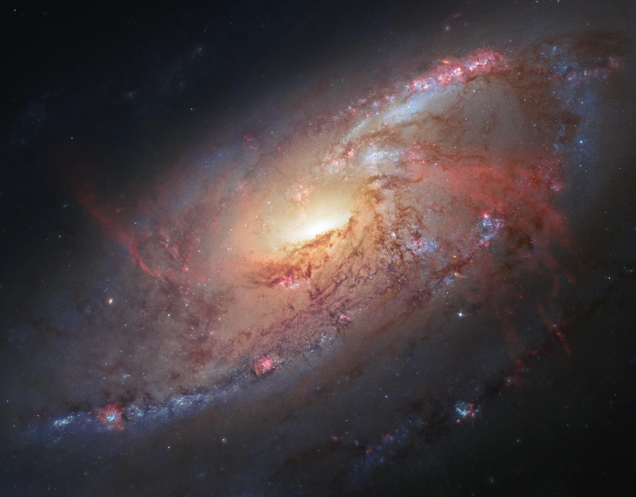 Working with astronomical image processors at the Space Telescope Science Institute in Baltimore, Md., renowned astro-photographer Robert Gendler has taken science data from the Hubble Space Telescope archive and combined it with his own ground-based observations to assemble a photo illustration of the magnificent spiral galaxy M106.